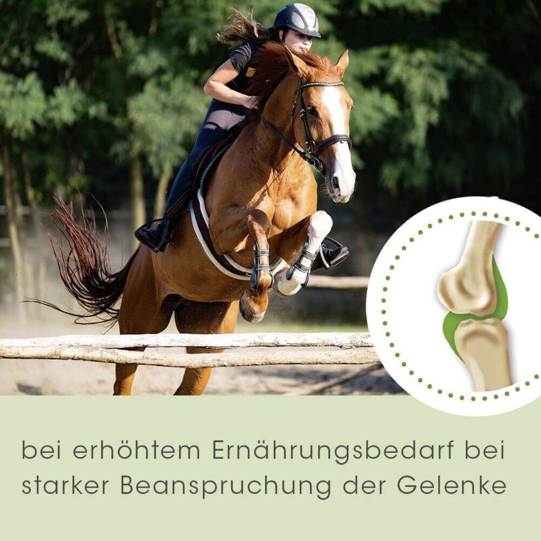 cdVet ArthroGreen Lauf - Fit Pro - Woofshack