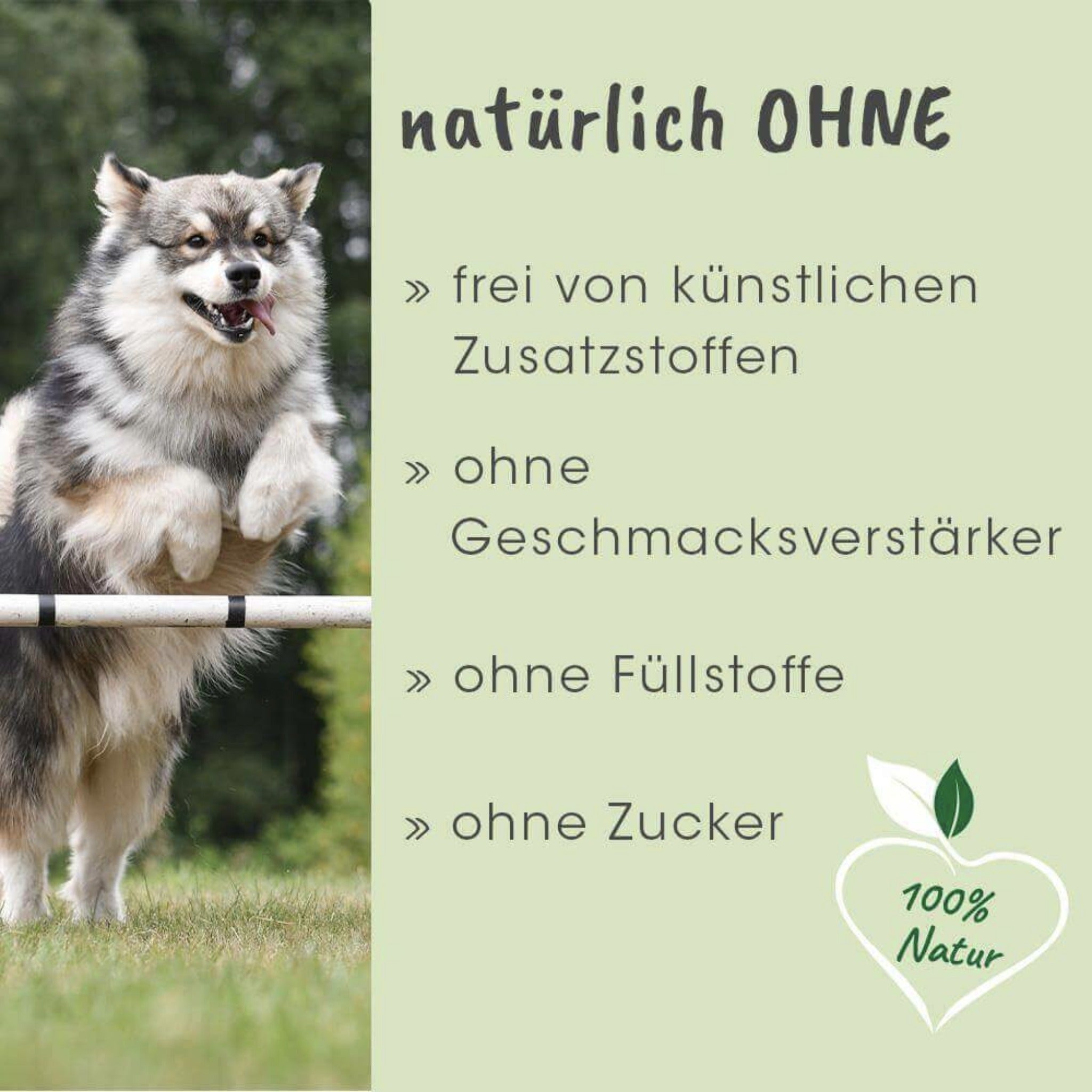 cdVet ArthroGreen Lauf - Fit Pro - Woofshack