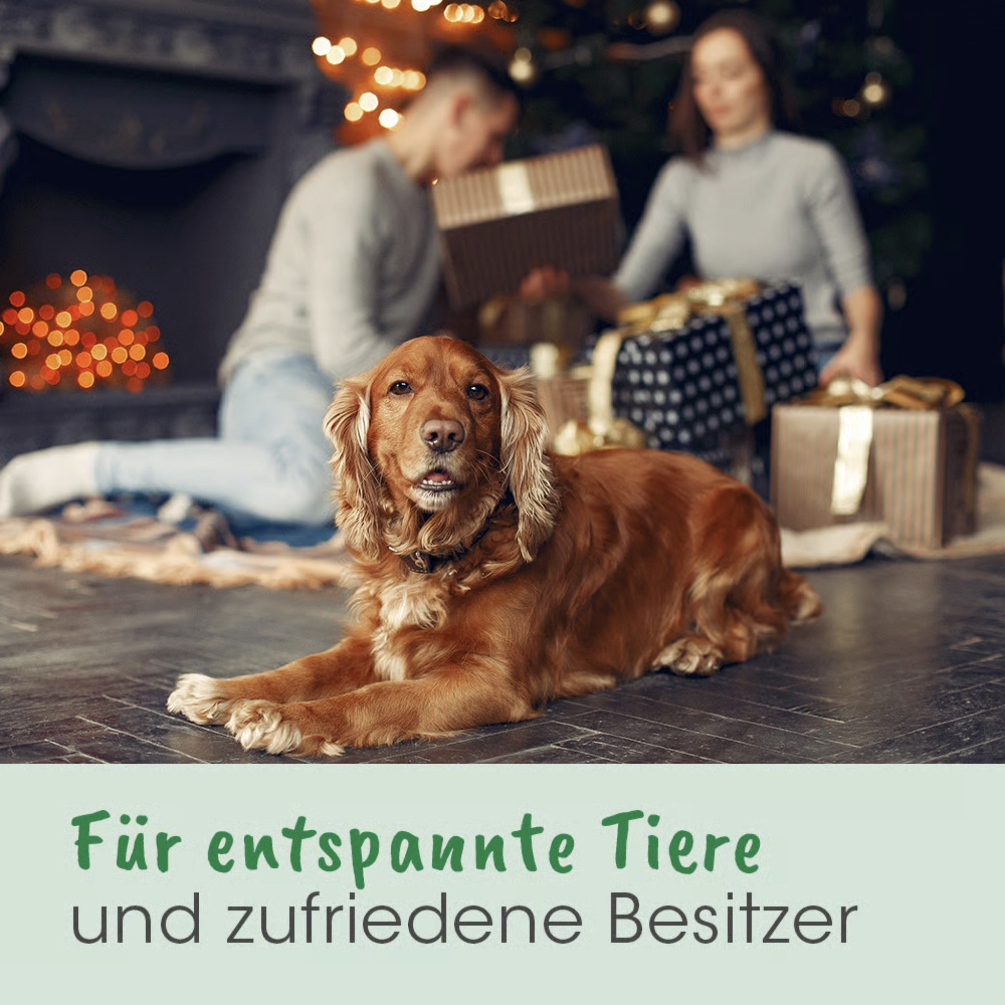 cdVet Calma für Hunde - Woofshack