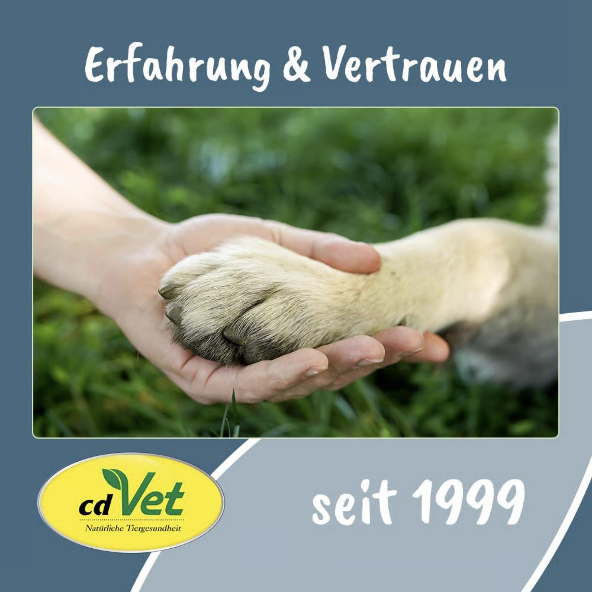 cdVet Fit - Hap FishHap Sprotten - Woofshack