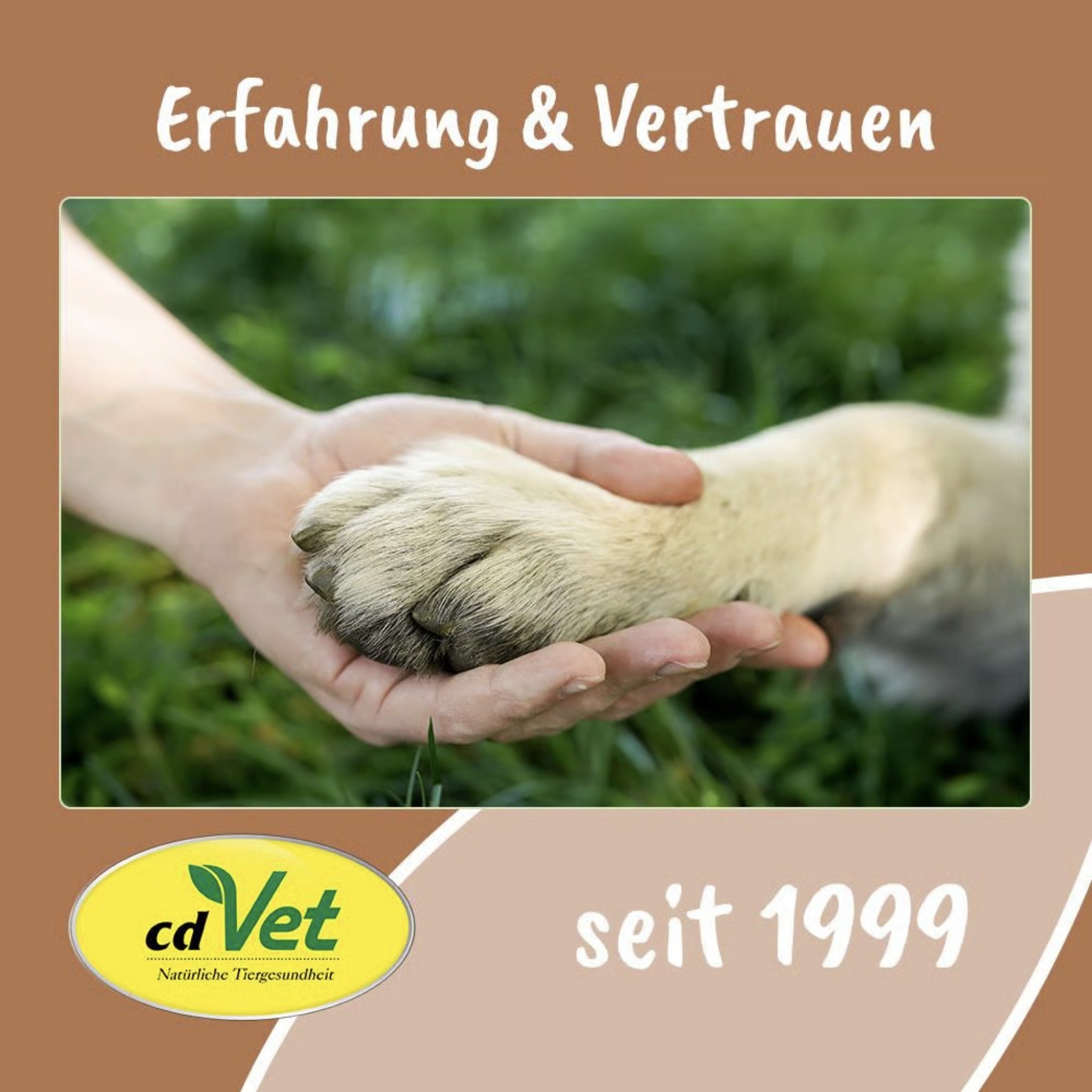 cdVet Fit - Hap Geweihmineral - Snack halb für Hunde - Woofshack