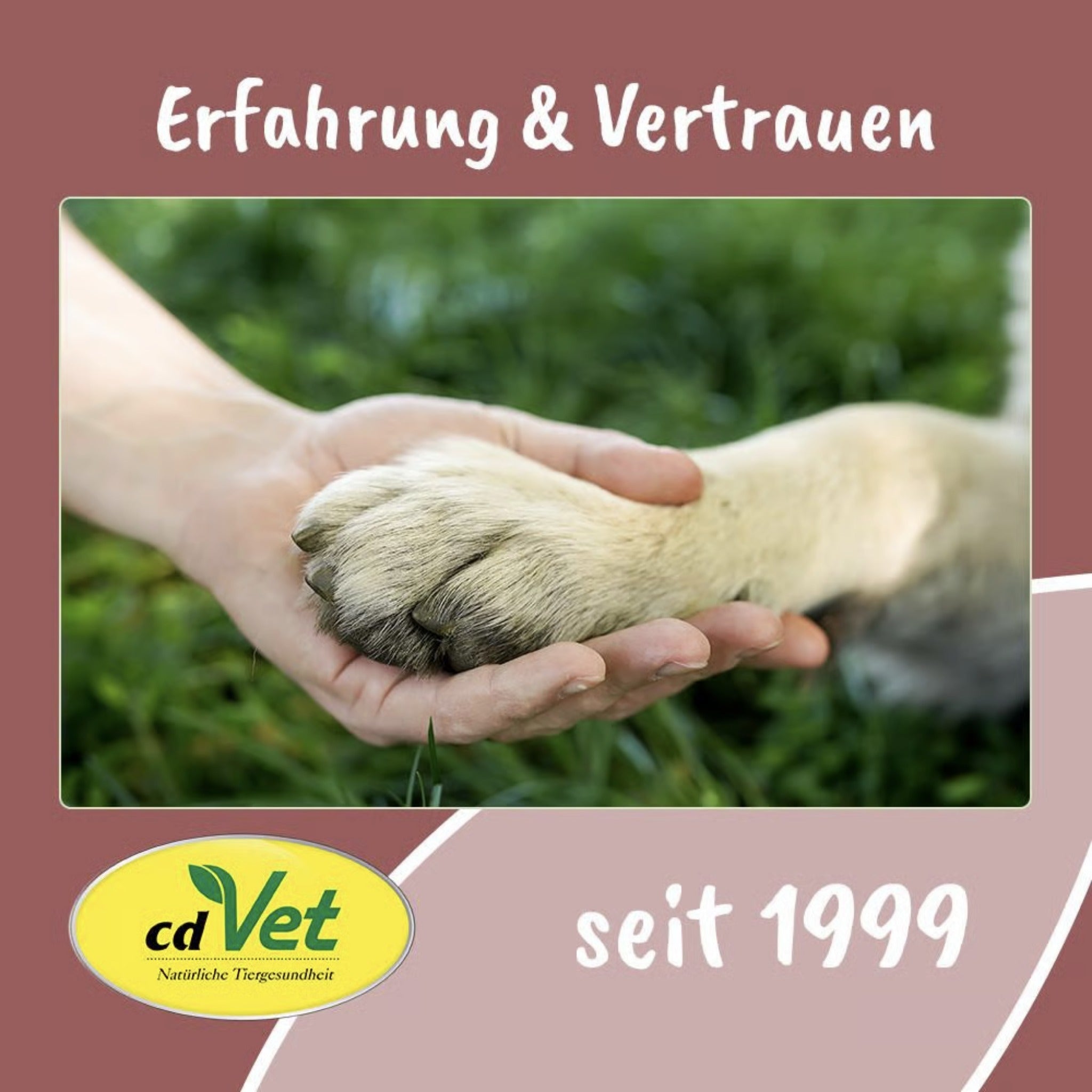 cdVet Fit - Hap Rinderhufe, Hundesnack - Woofshack