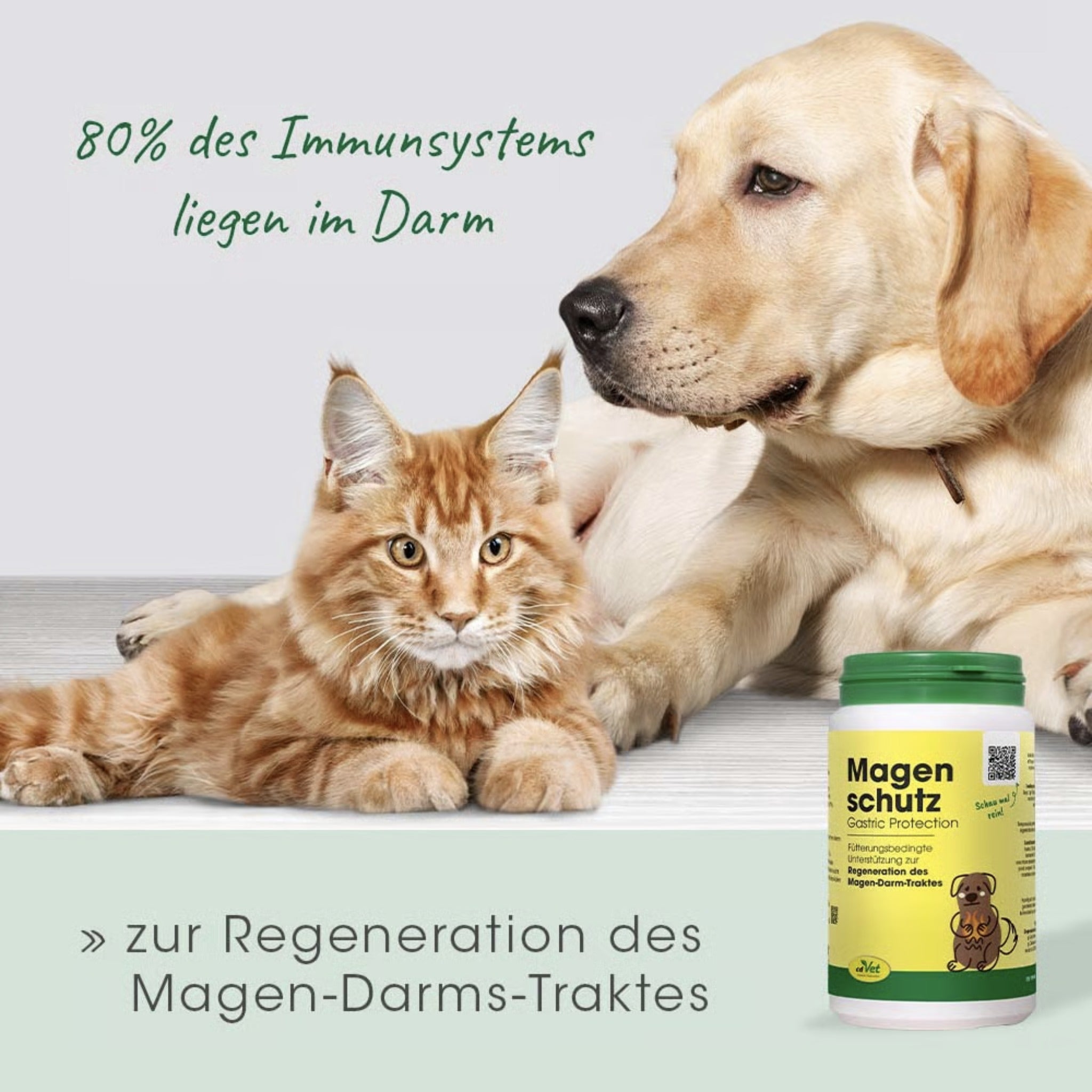 cdVet Magenschutz für Hunde - Woofshack