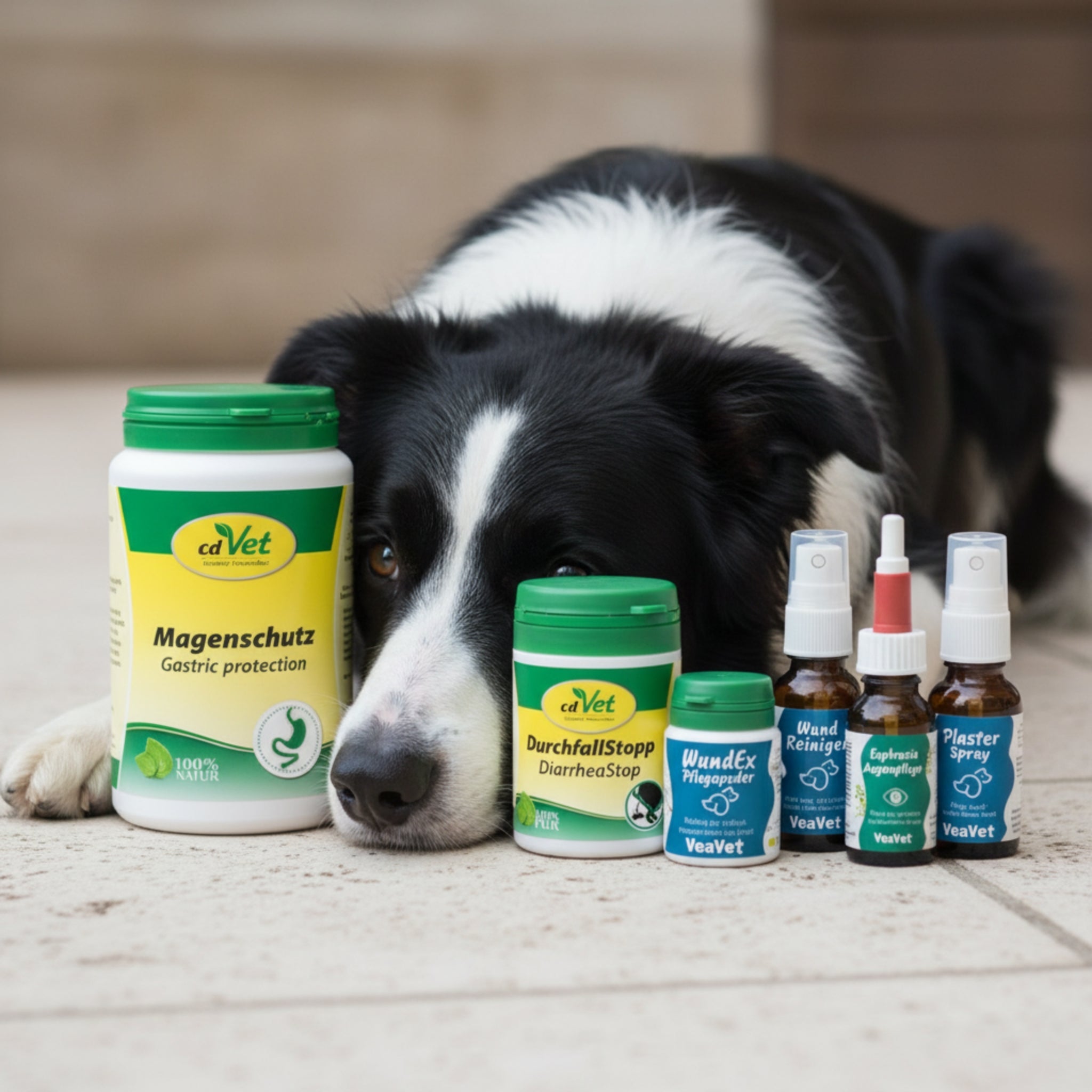 cdVet Notfall - Set für unterwegs – Erste Hilfe für Hunde bei Durchfall, Wunden, Magenproblemen & Augenpflege - Woofshack