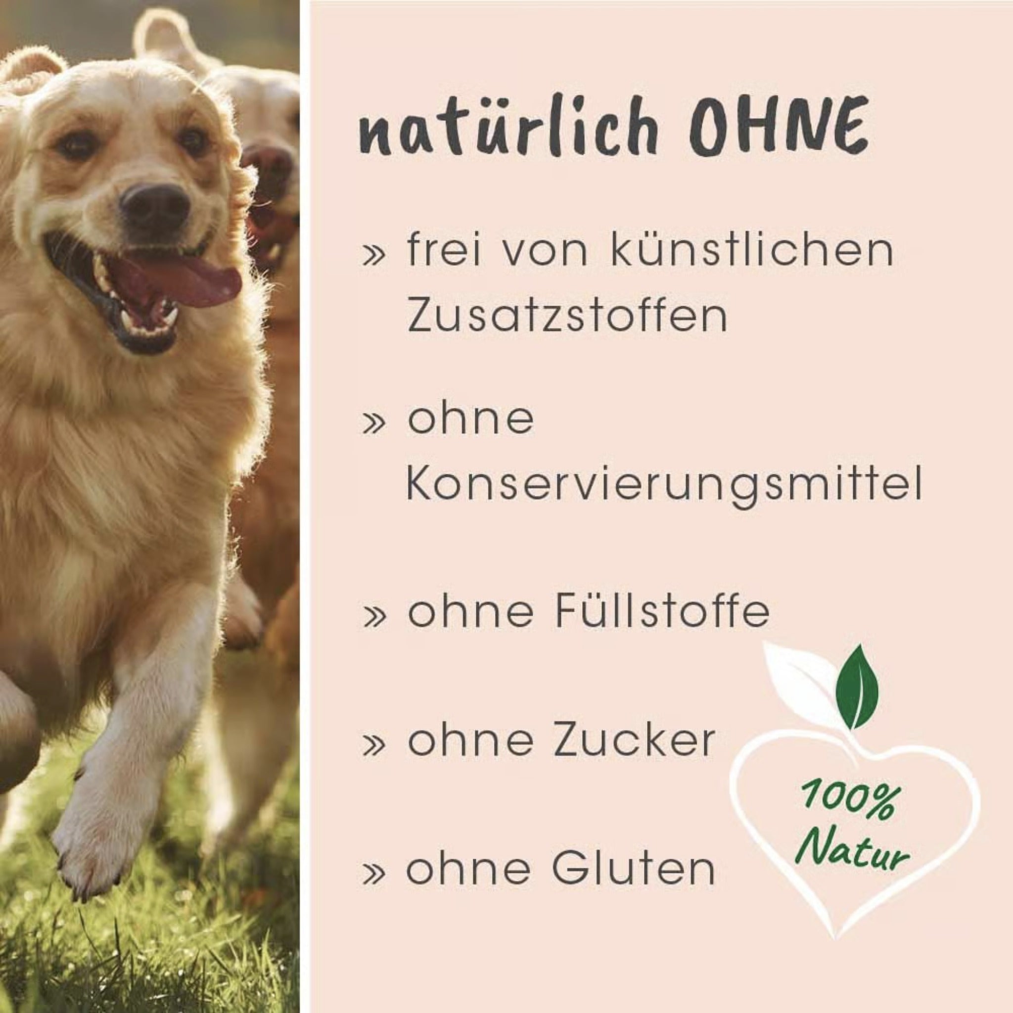 cdVet Singulares Ägyptisches Bio - Schwarzkümmelöl - Woofshack