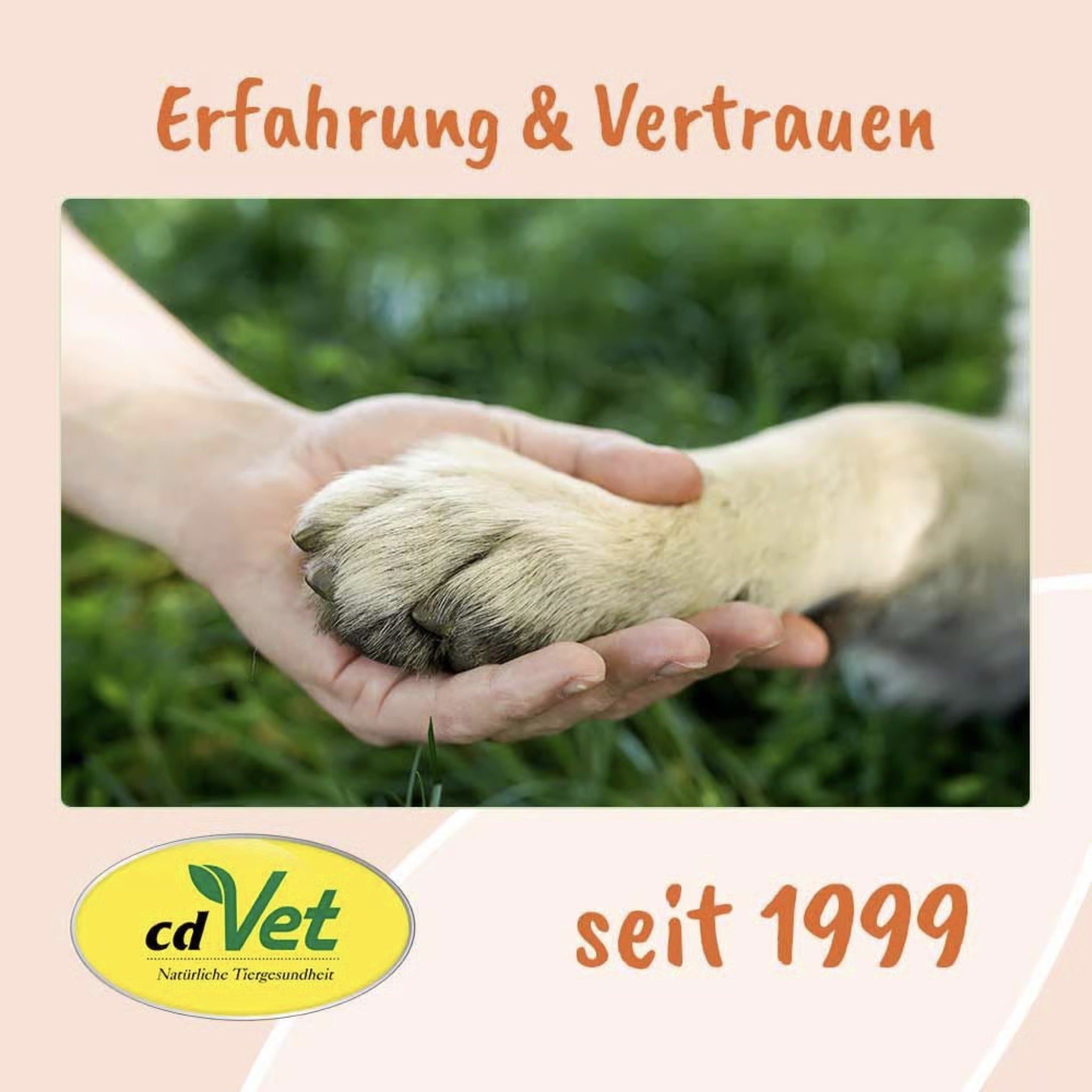 cdVet Singulares Ägyptisches Bio - Schwarzkümmelöl - Woofshack