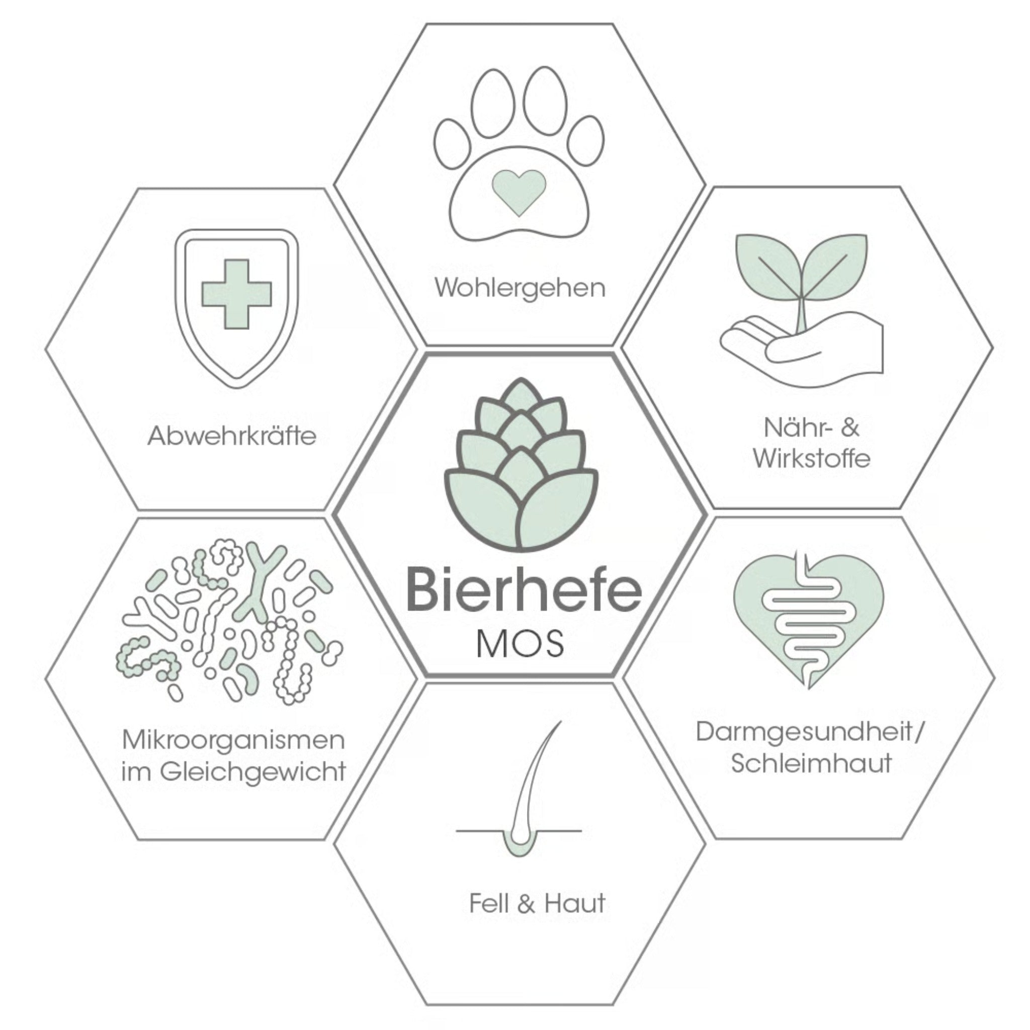 cdVet ToxiVet sorb für Hunde - Woofshack