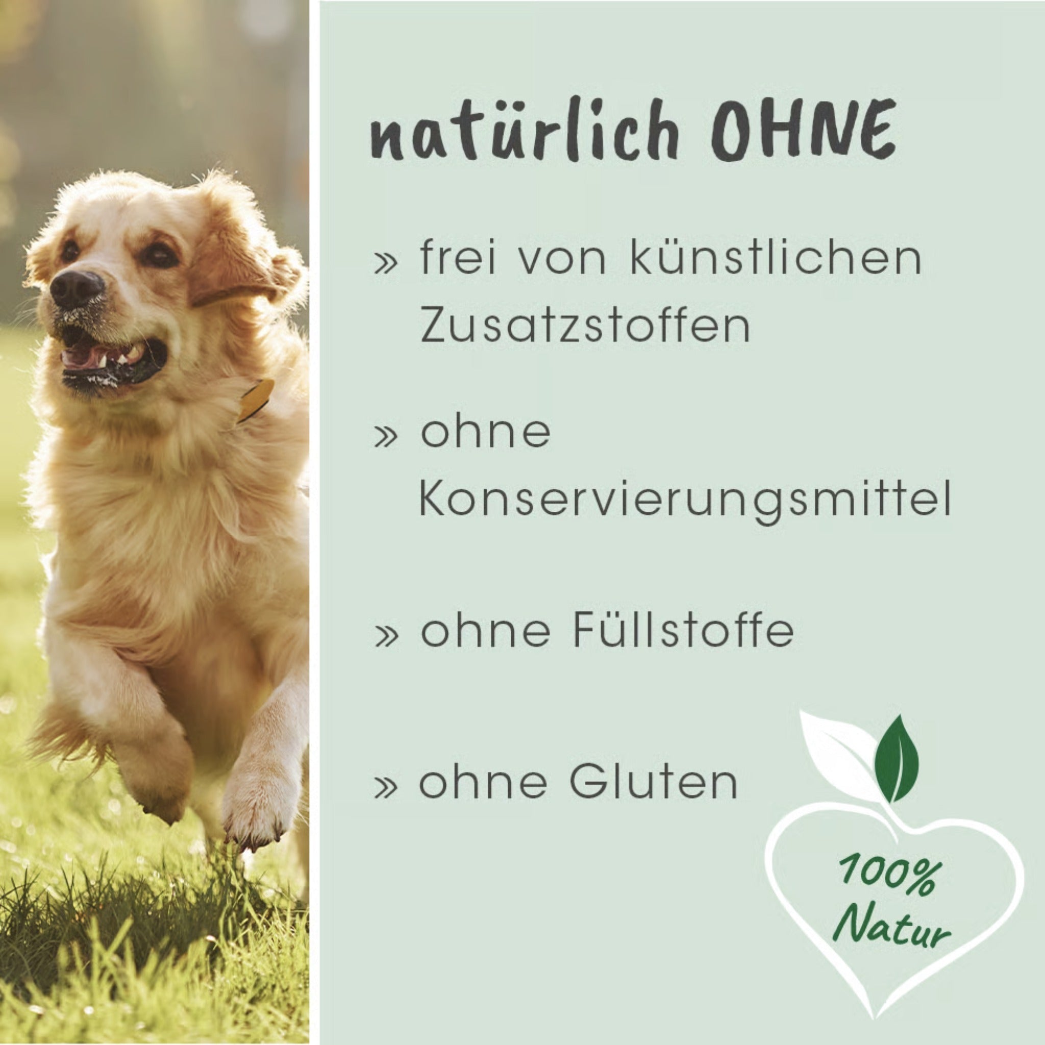 cdVet ToxiVet sorb für Hunde - Woofshack