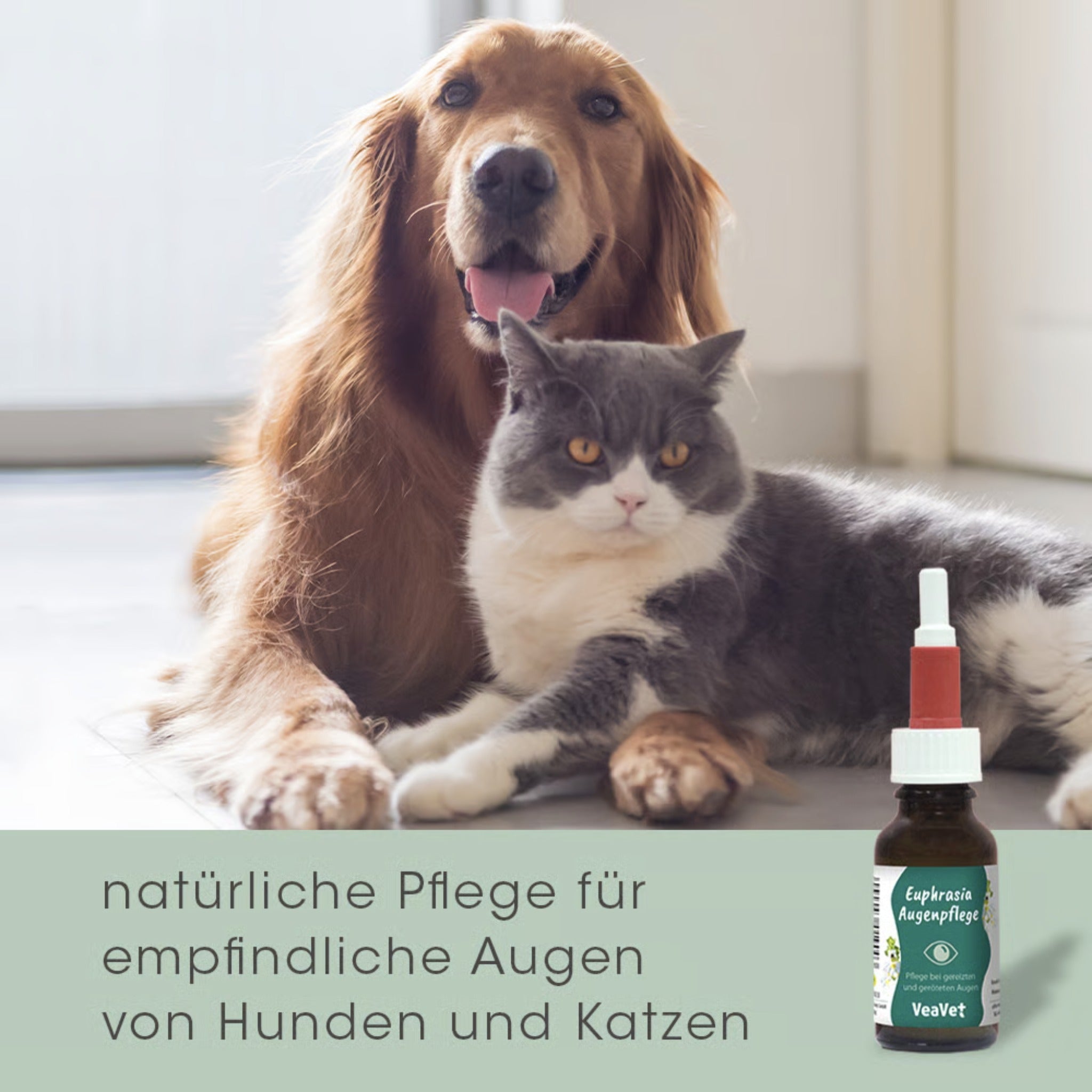 cdVet VeaVet Euphrasia Augenpflege für Hunde - Woofshack