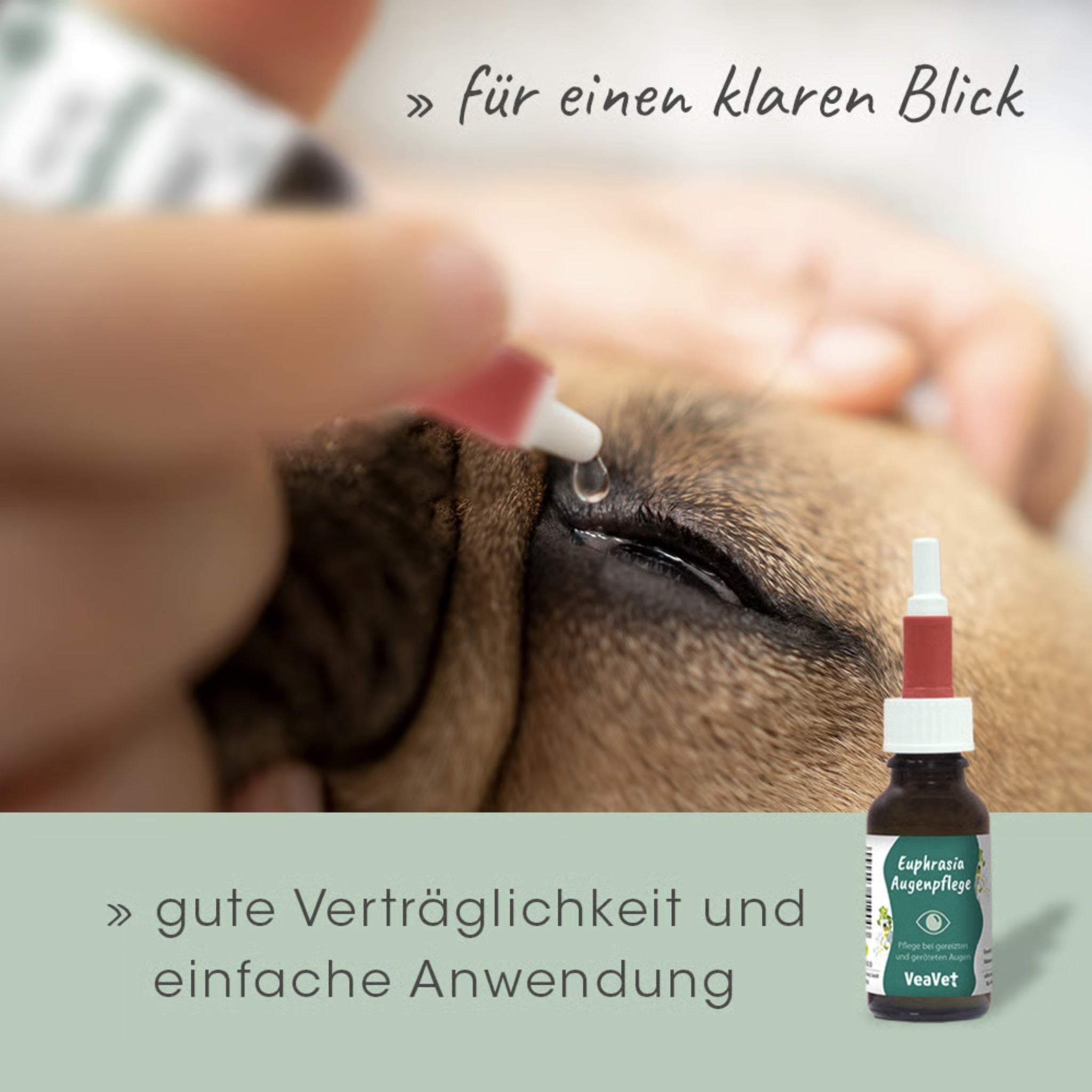 cdVet VeaVet Euphrasia Augenpflege für Hunde - Woofshack
