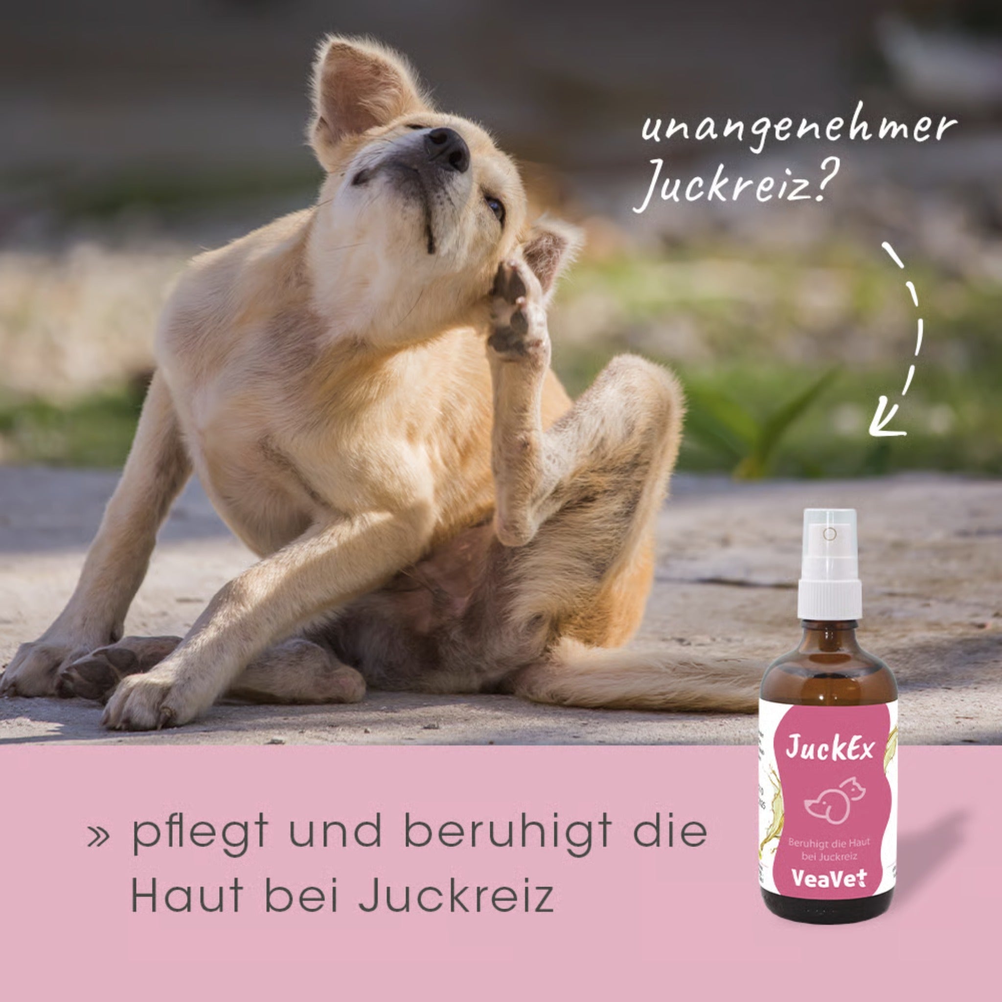 cdVet VeaVet JuckEx Spray - Woofshack