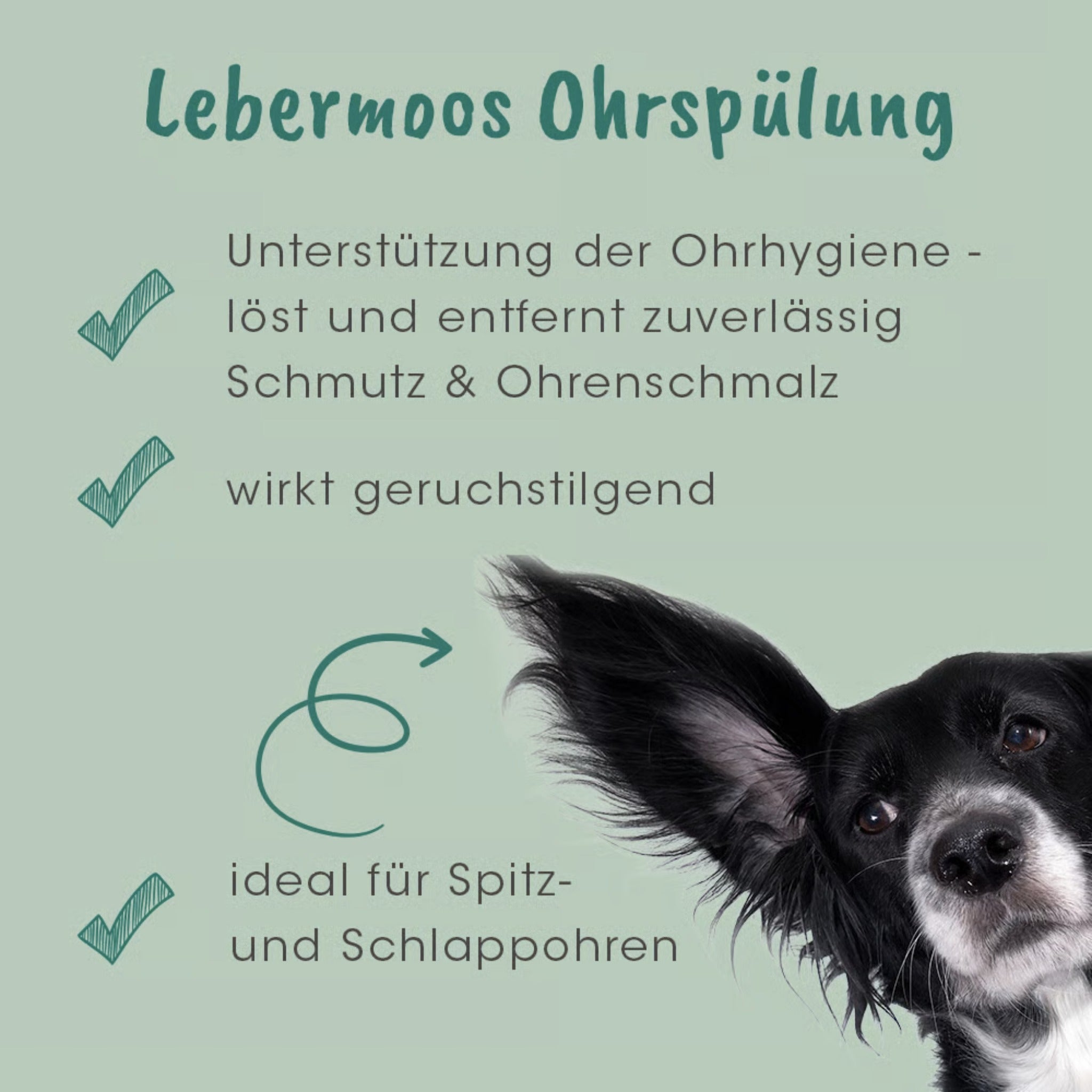 cdVet VeaVet Lebermoos Ohrspülung für Hunde - Woofshack