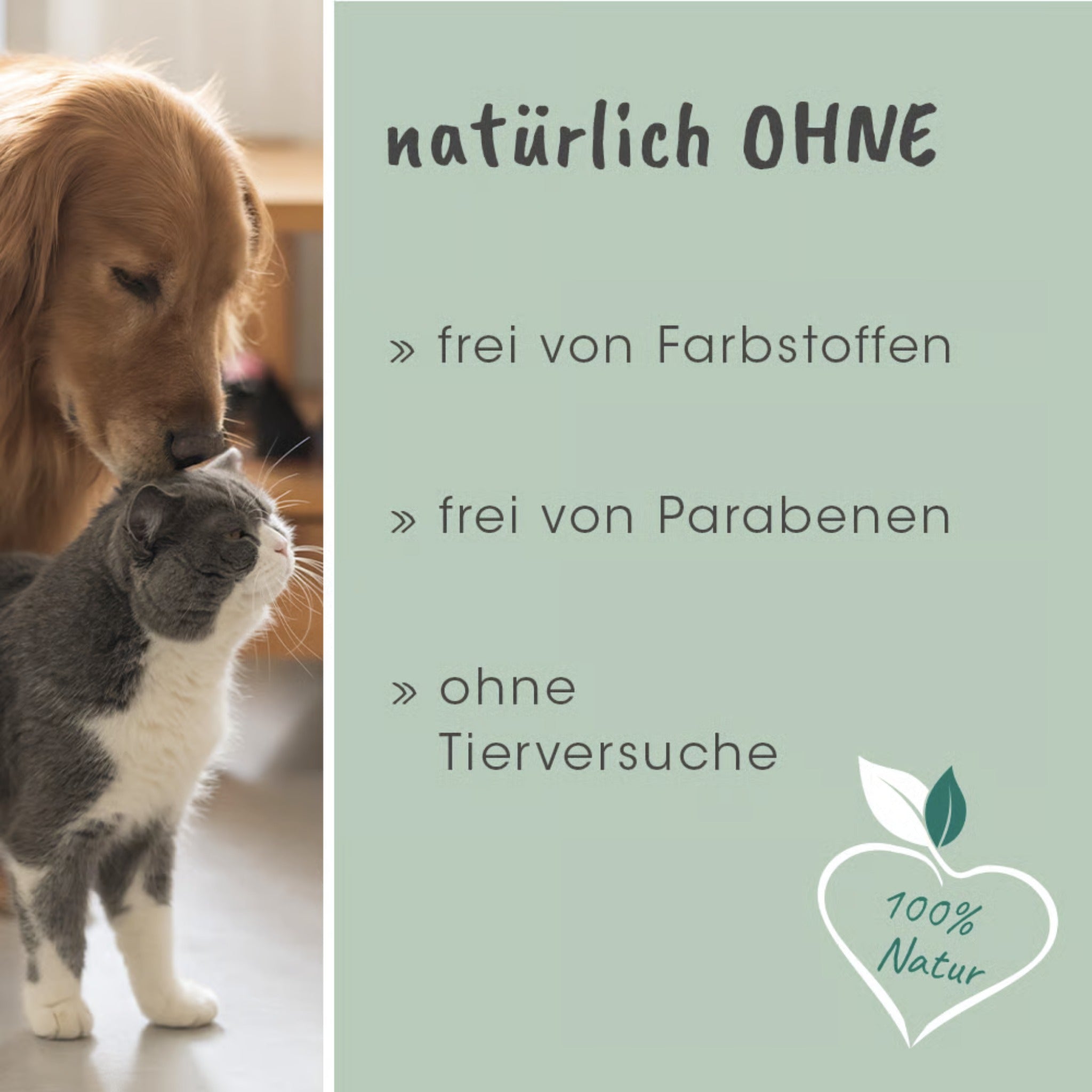cdVet VeaVet Lebermoos Ohrspülung für Hunde - Woofshack