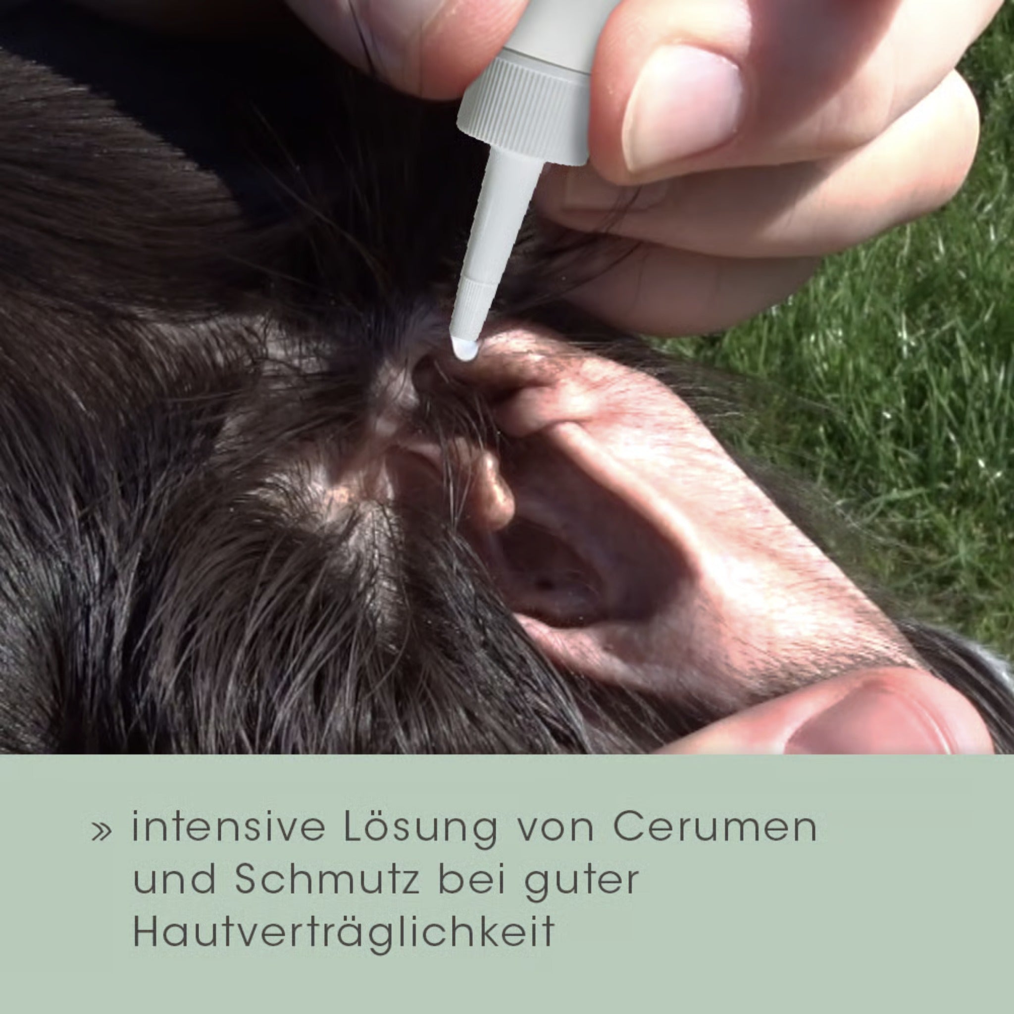 cdVet VeaVet Lebermoos Ohrspülung für Hunde - Woofshack