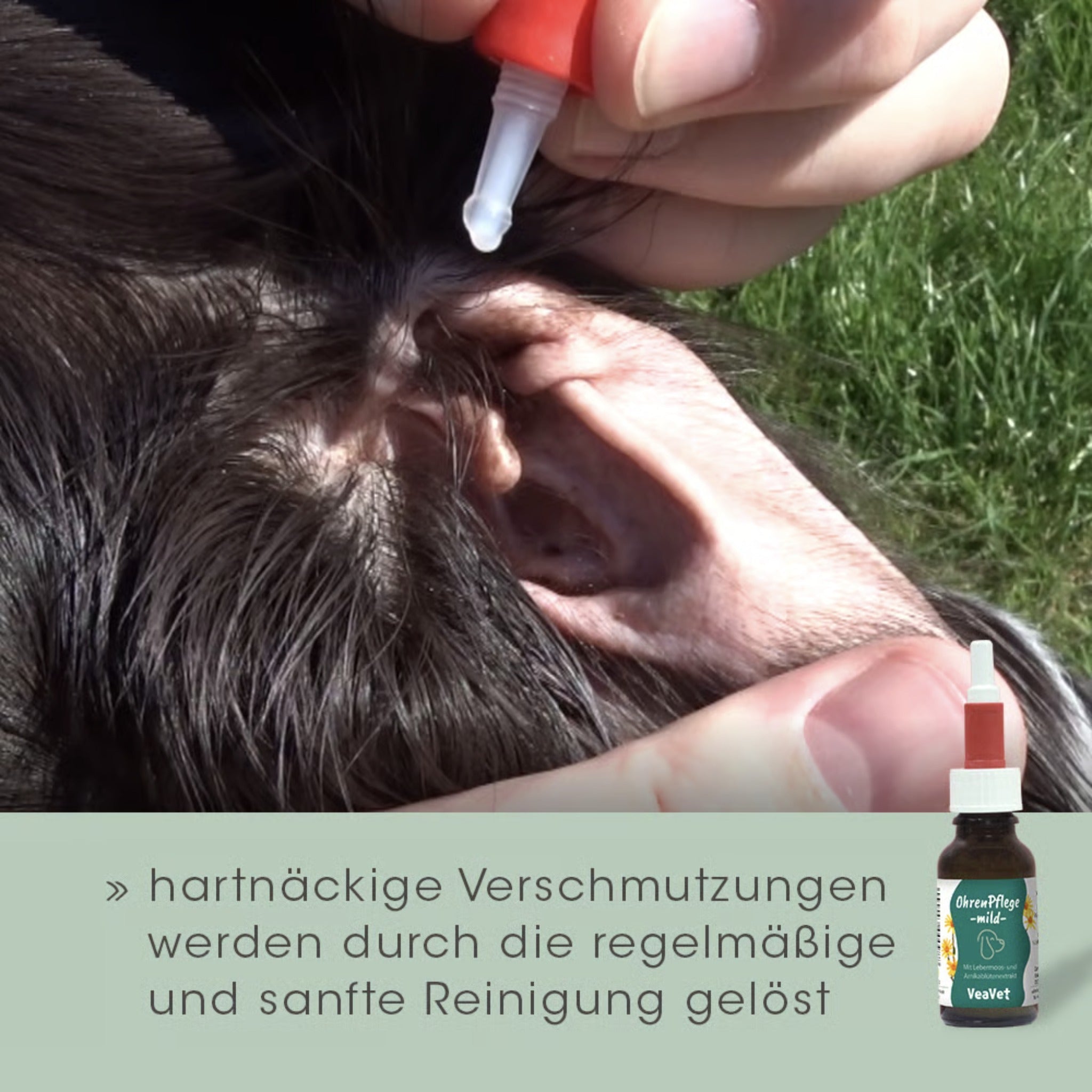 cdVet VeaVet Ohrenpflege mild für Hunde - Woofshack