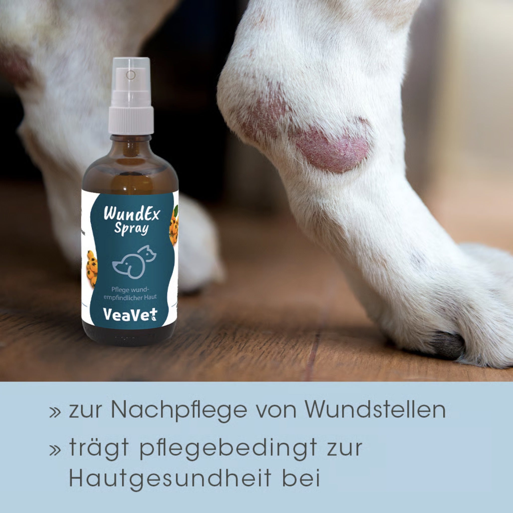 cdVet VeaVet WundEx Spray – Natürliche Wundpflege für Hunde & Katzen bei empfindlicher, gereizter Haut