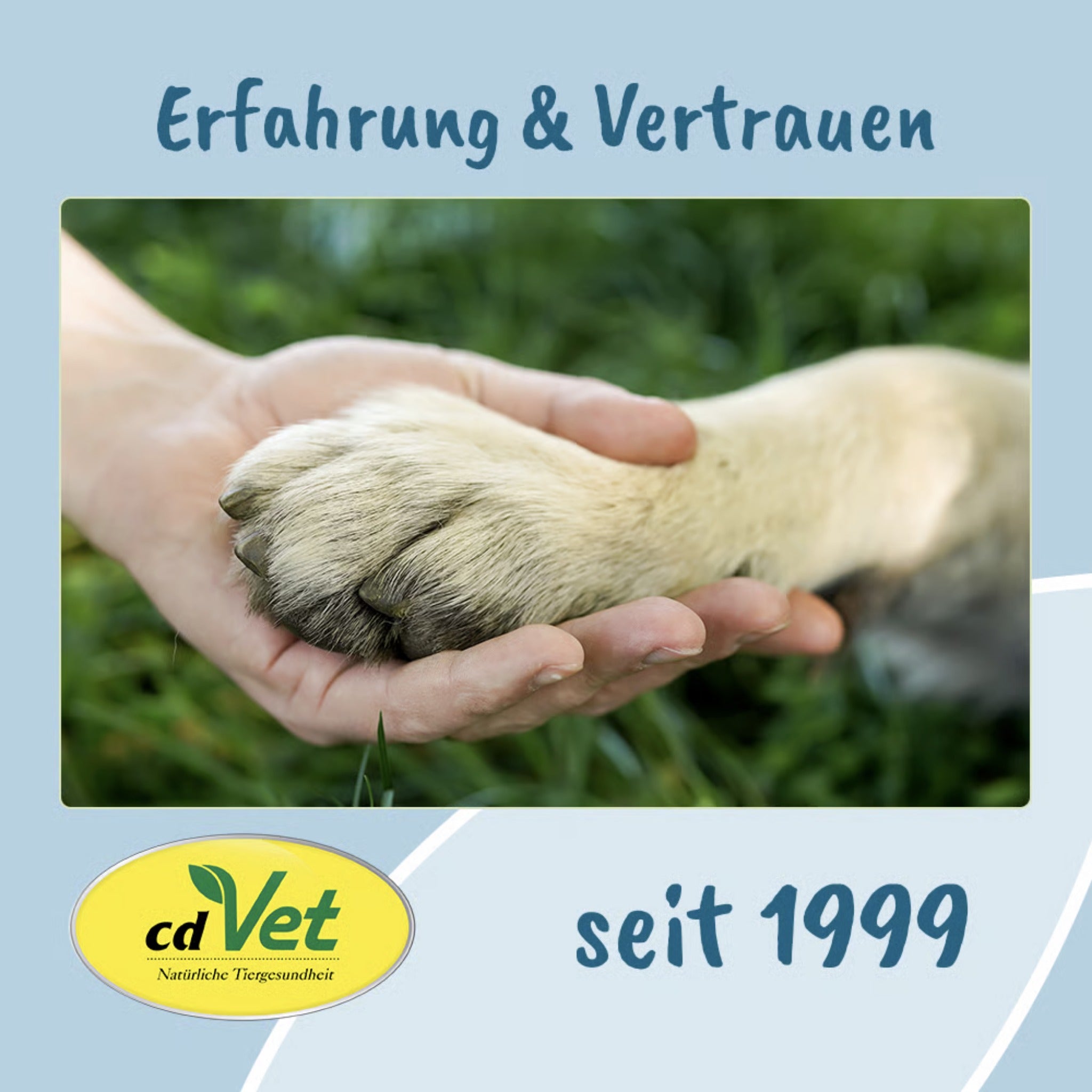 cdVet VeaVet WundEx Spray – Natürliche Wundpflege für Hunde & Katzen bei empfindlicher, gereizter Haut