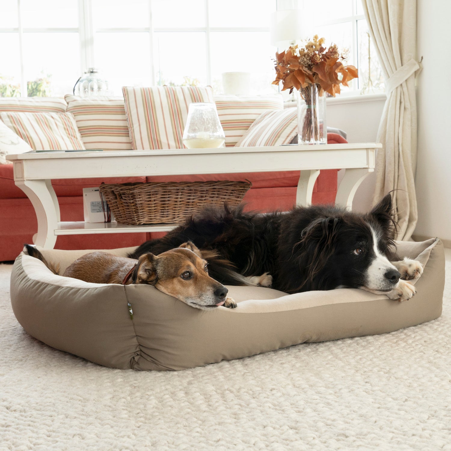 Hundebetten