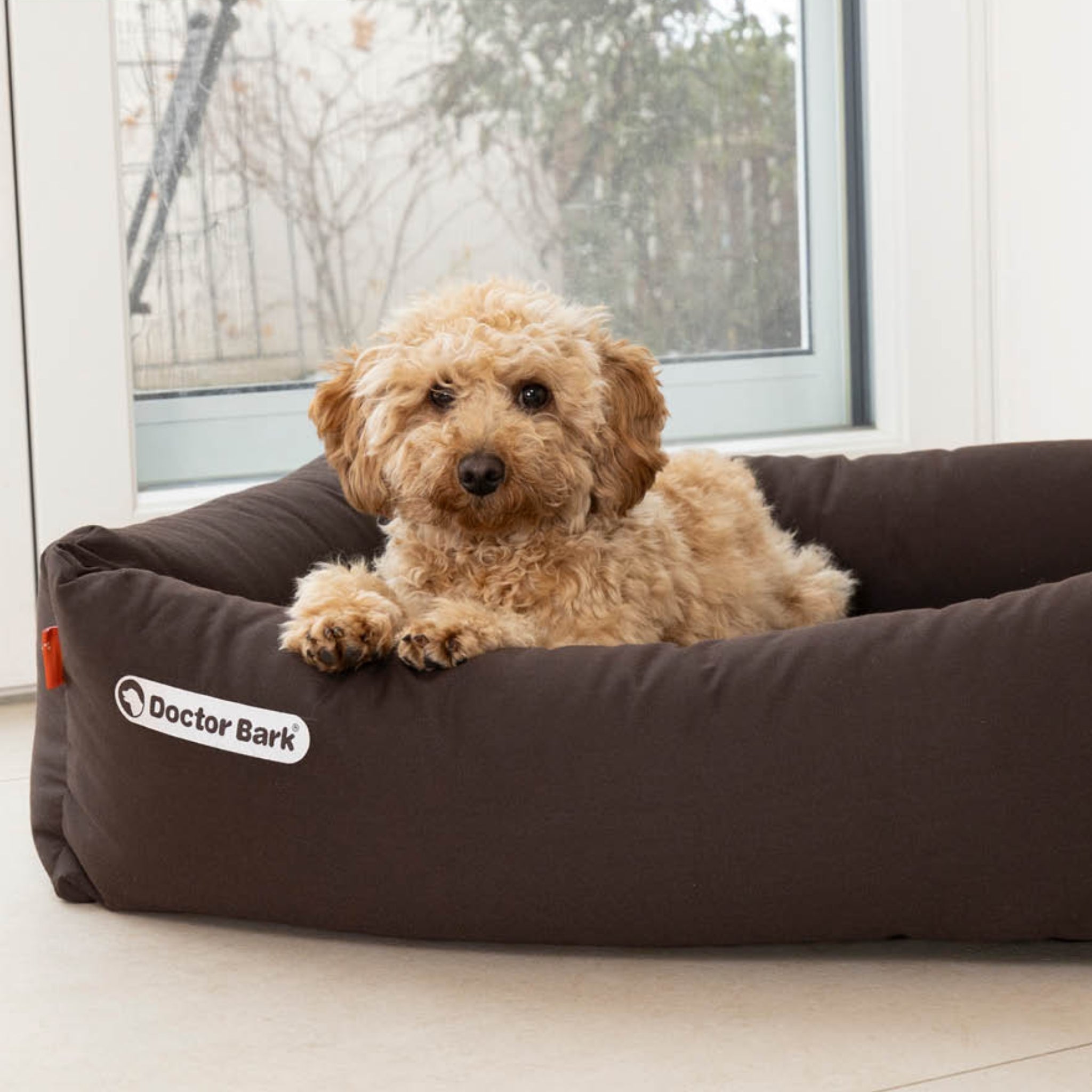 Doctor Bark Orthopädisches Hundebett - Woofshack