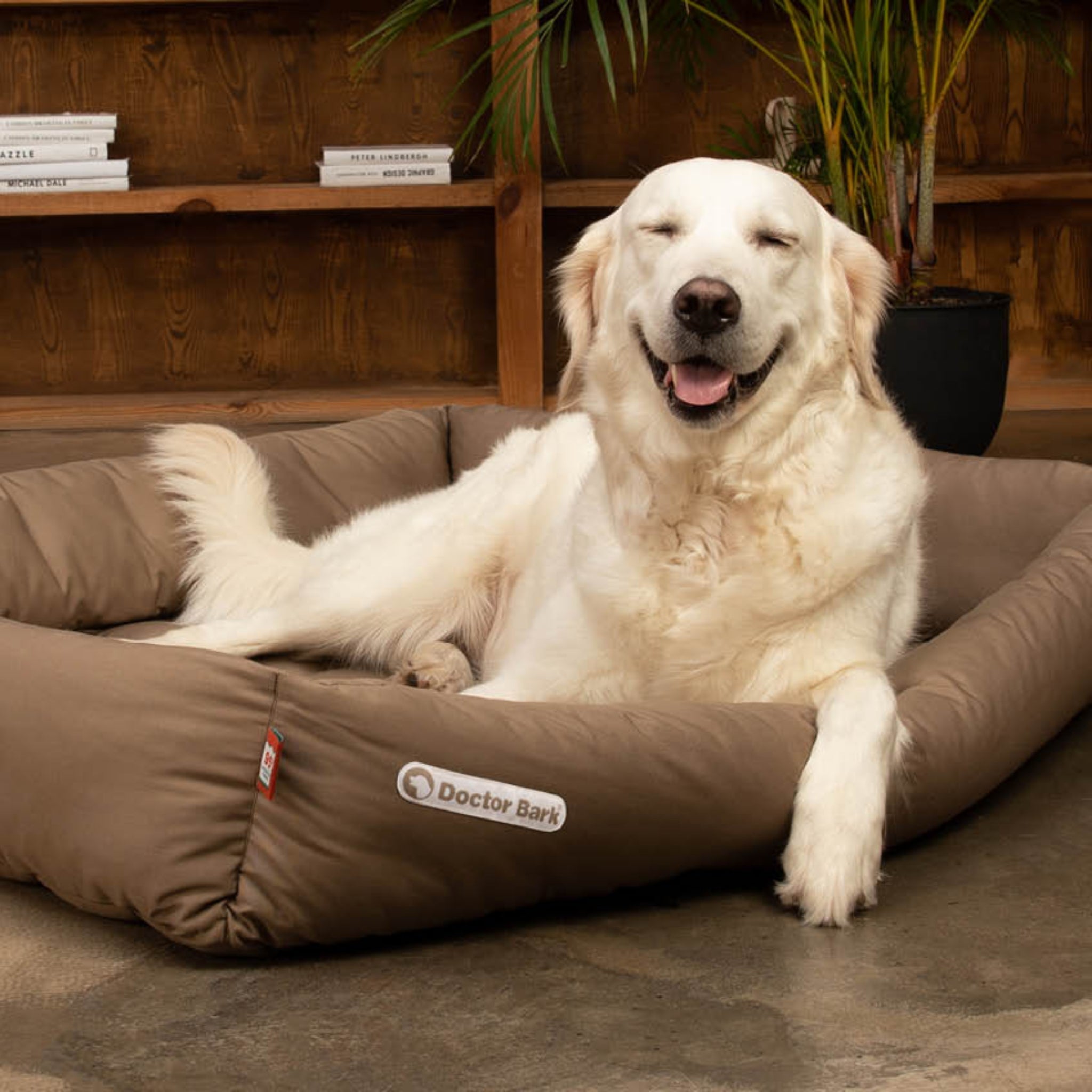 Doctor Bark Orthopädisches Hundebett - Woofshack