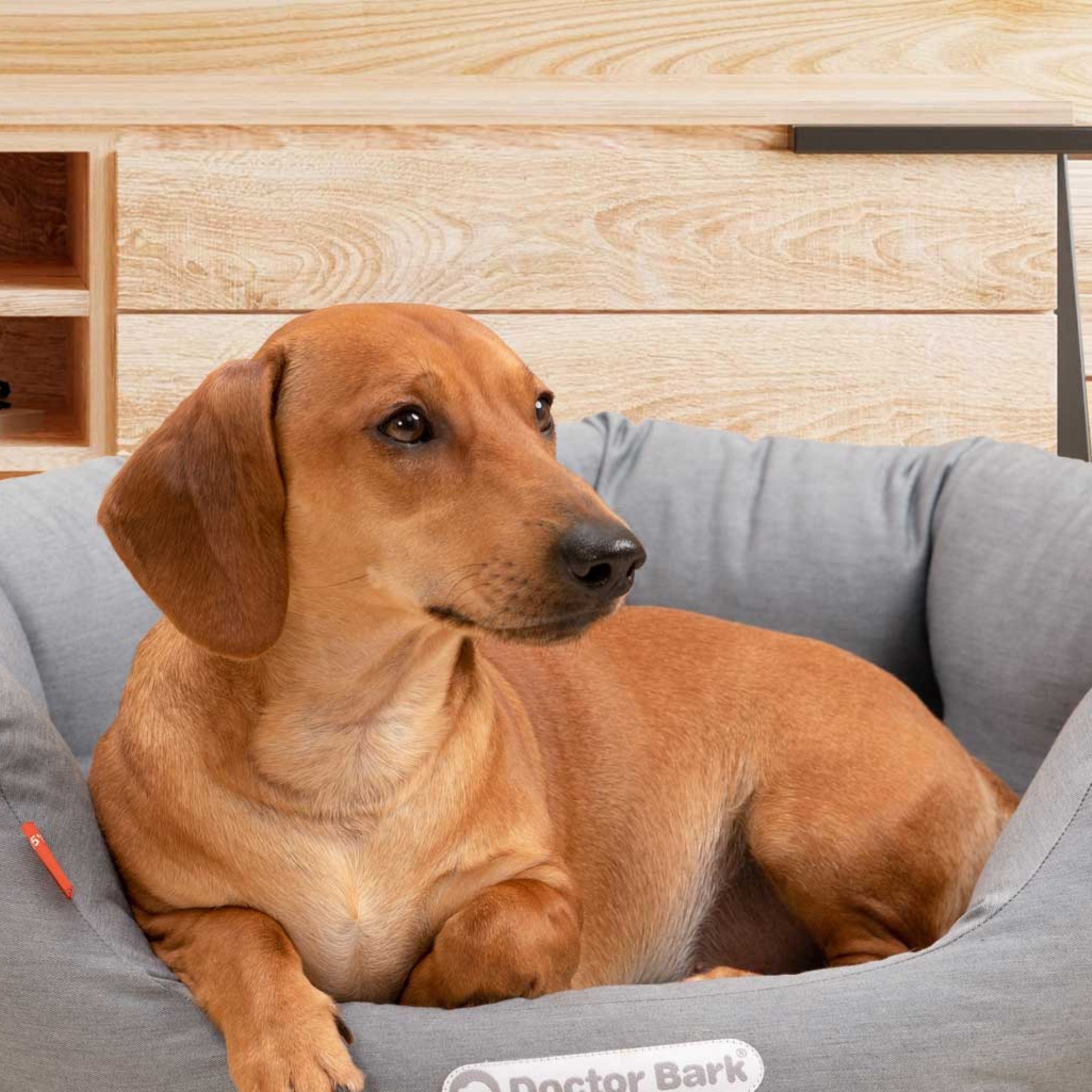 Doctor Bark Orthopädisches Hundenest - Woofshack