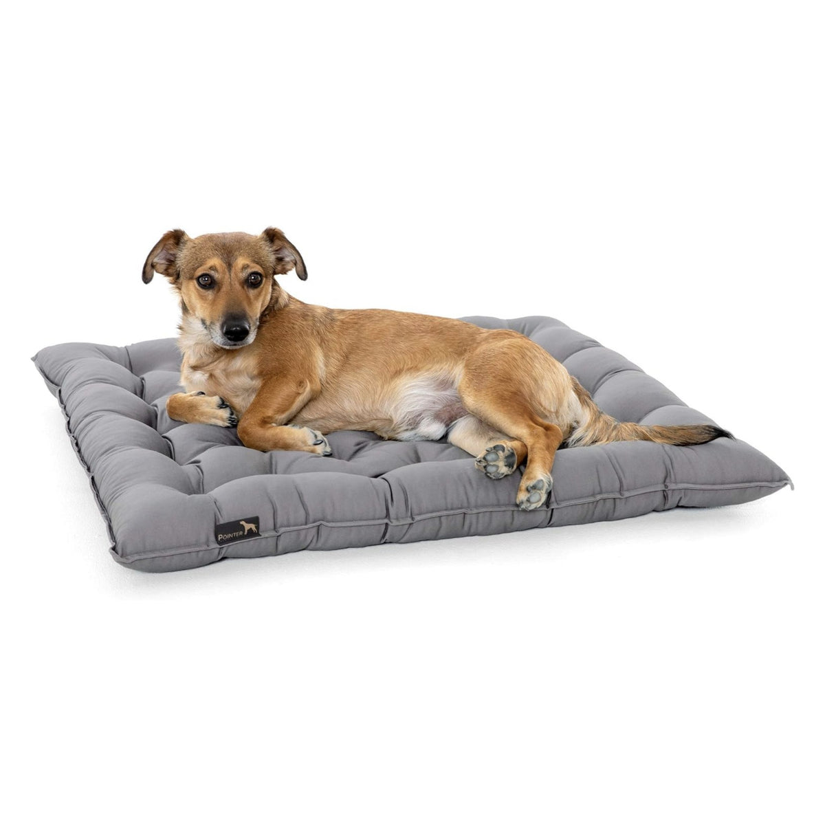 Pointer Hundekissen by Doctor Bark – Orthopädisches Premium-Hundebett mit Gelenkentlastung & Wärmespeicherung für schmerzfreien Schlafkomfort
