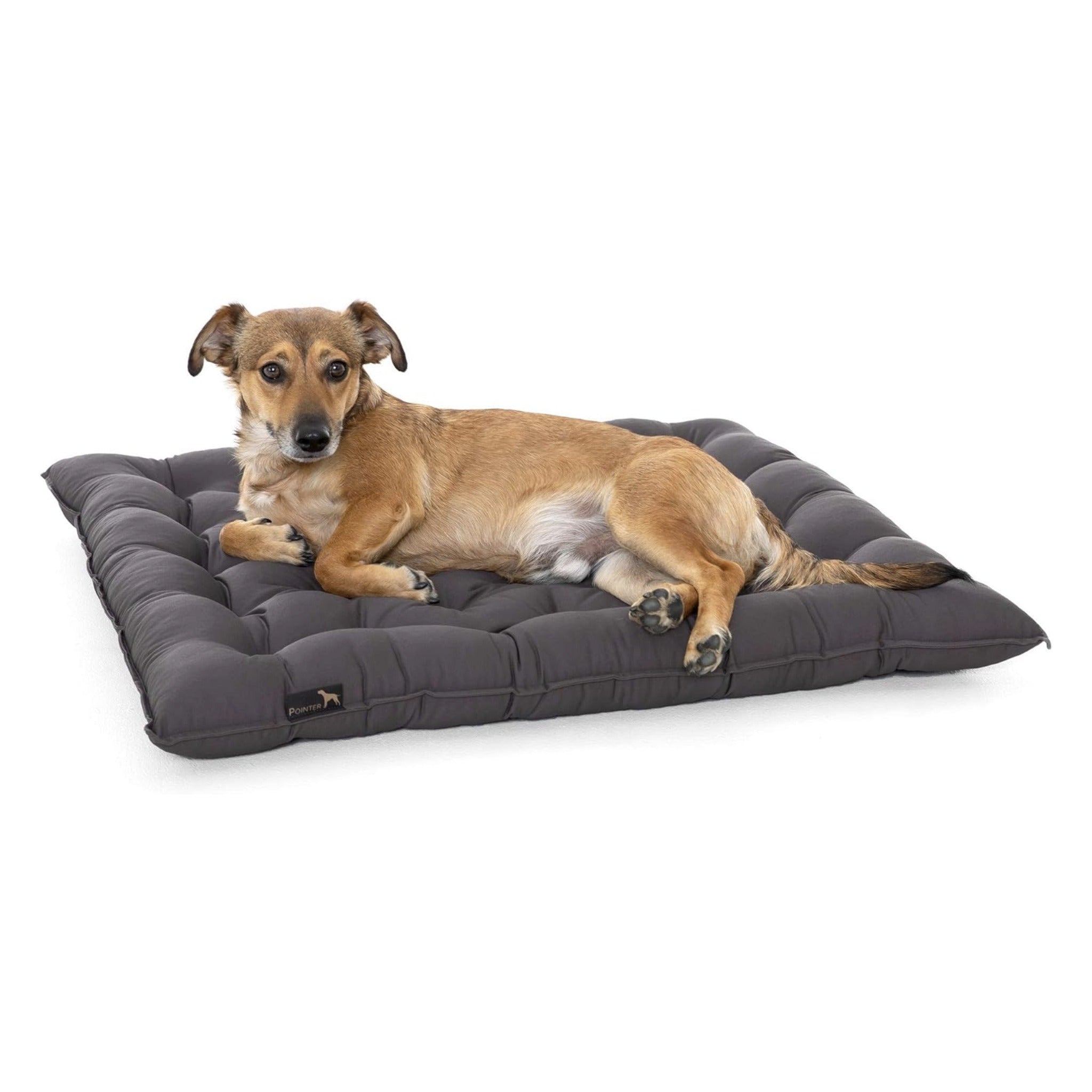 Pointer Hundekissen by Doctor Bark – Orthopädisches Premium-Hundebett mit Gelenkentlastung & Wärmespeicherung für schmerzfreien Schlafkomfort