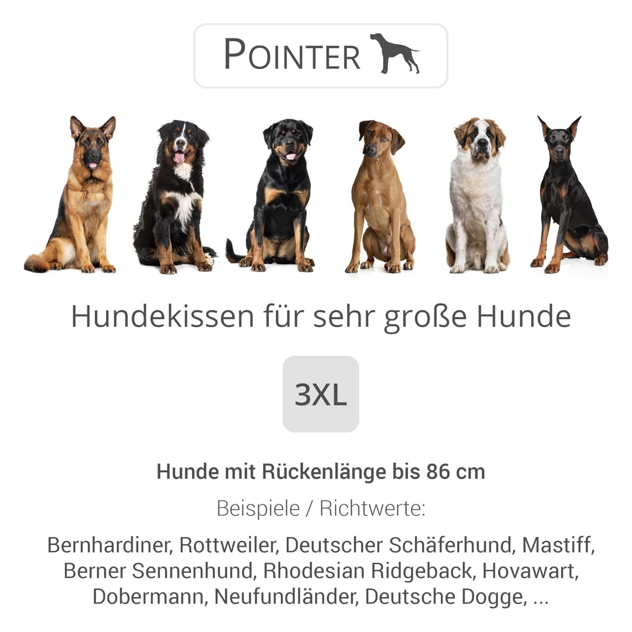 Pointer Hundekissen by Doctor Bark – Orthopädisches Premium-Hundebett mit Gelenkentlastung & Wärmespeicherung für schmerzfreien Schlafkomfort