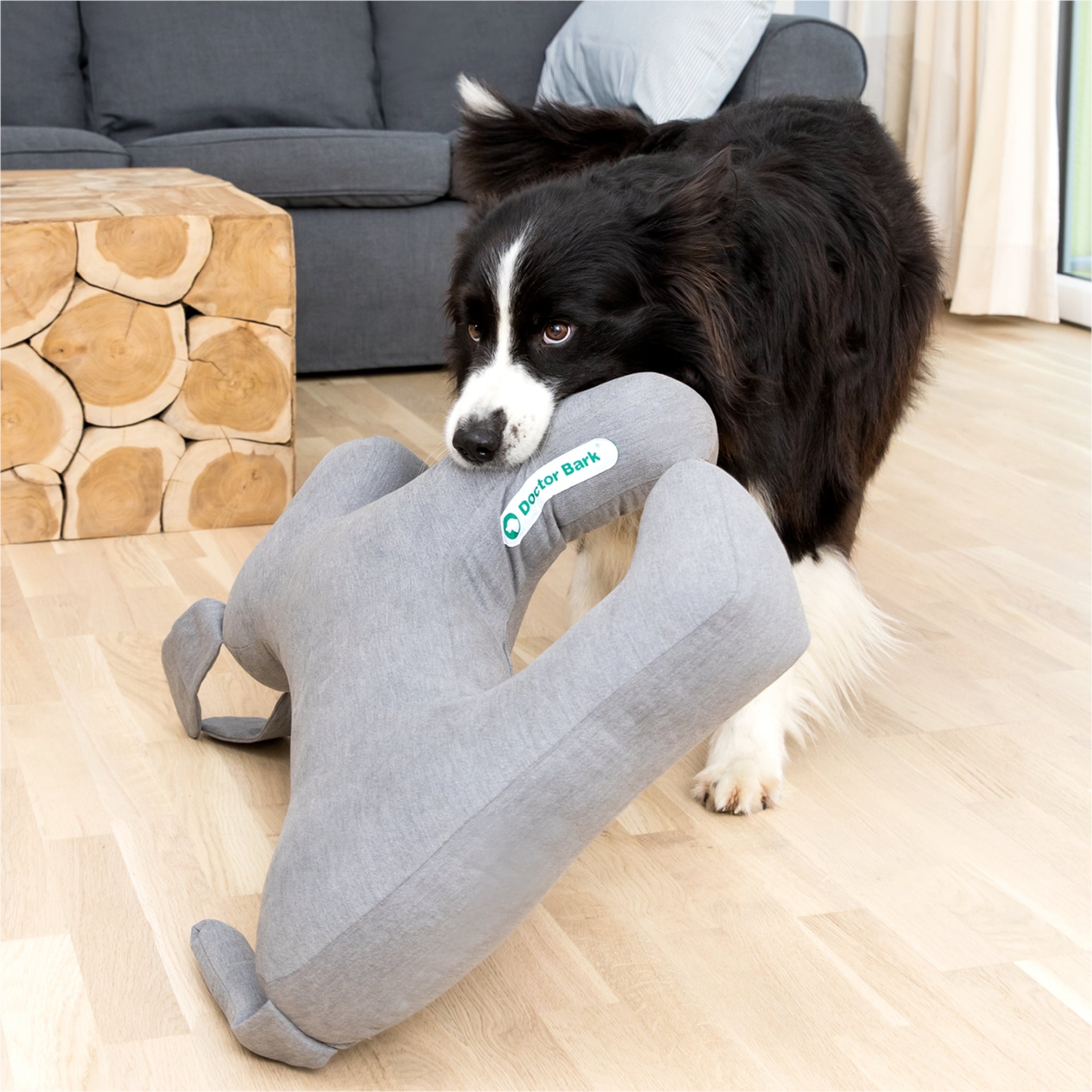 Doctor Bark Toy Dog, Hundespielzeug - Woofshack