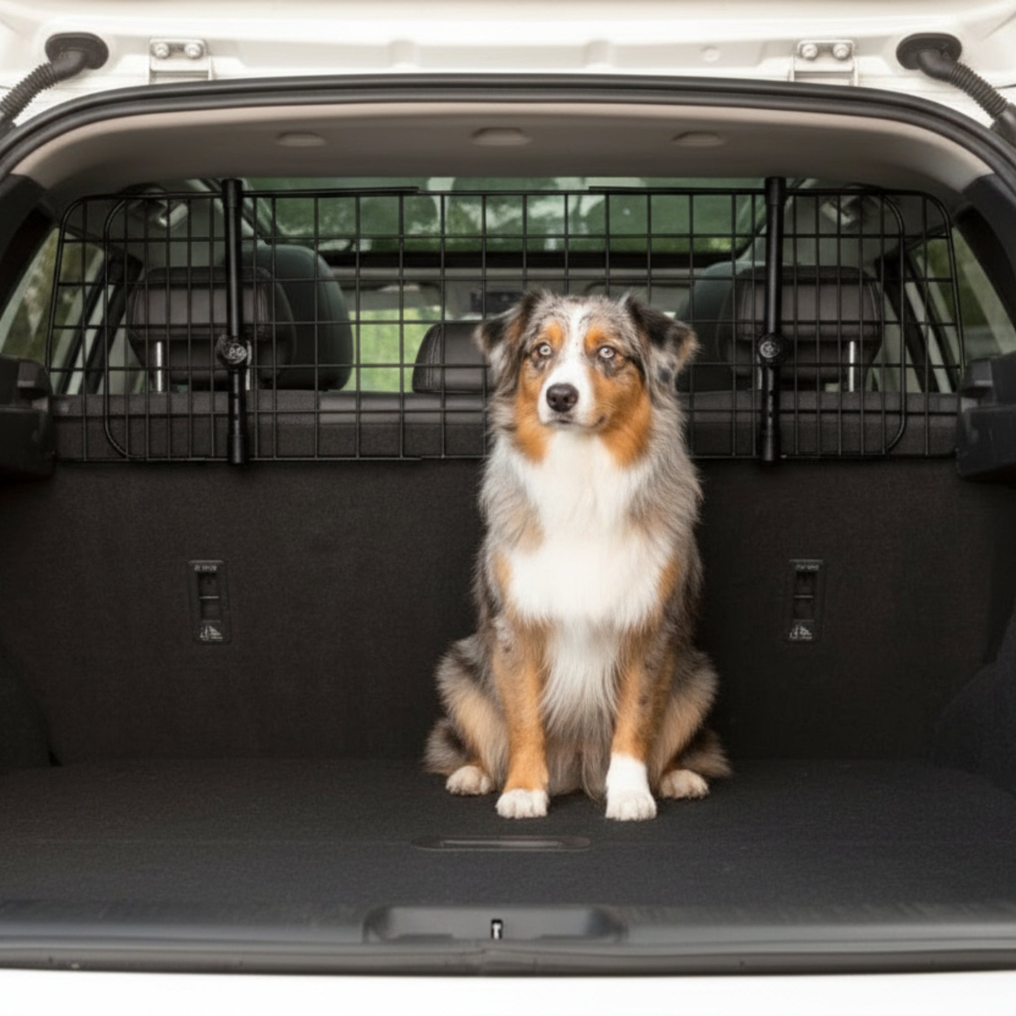 Doctor Bark Universal Kofferraum - Trenngitter – StVO - konform, werkzeuglose Montage, verstellbar 91 - 153 cm, maximale Sicherheit für Hund & Fahrer - Woofshack