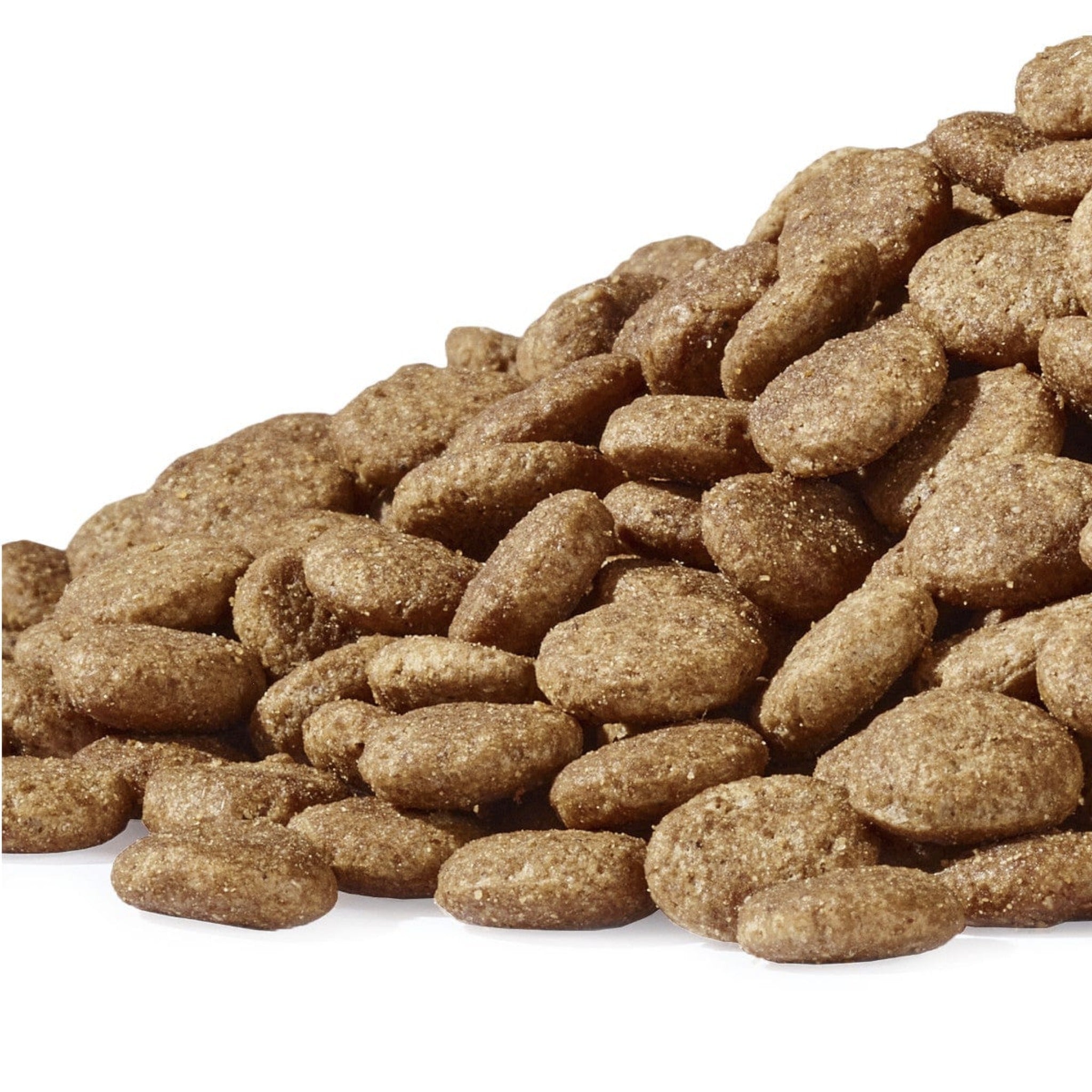 Dogs&