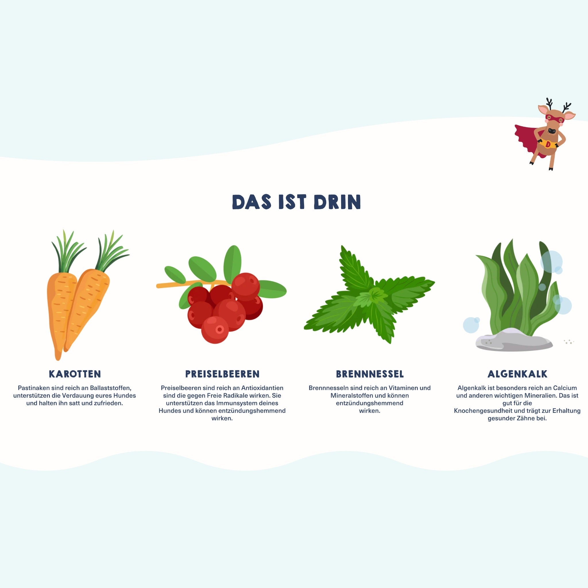 Happy Jacky Wild & Berries - Hunde Nassfutter - Woofshack