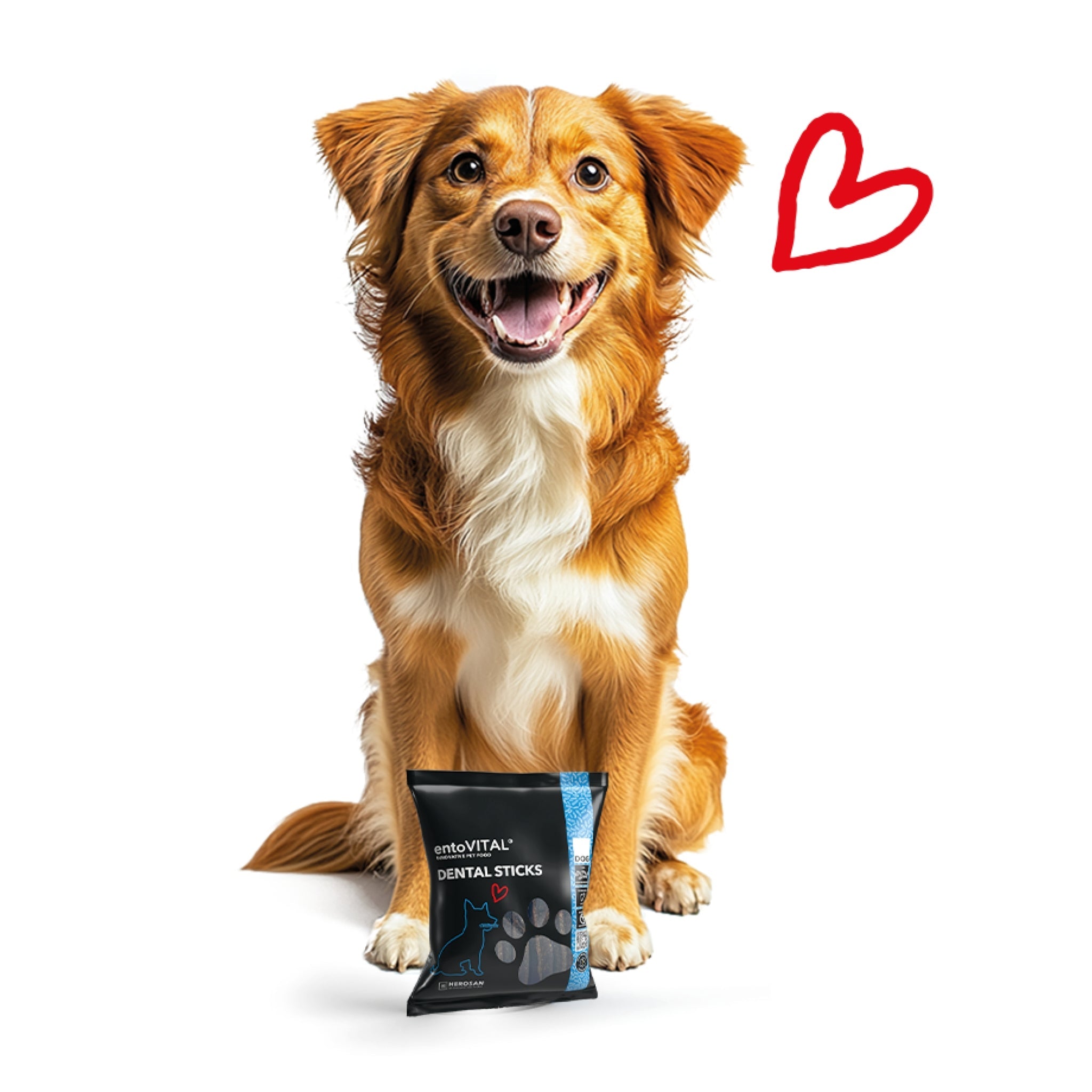 HEROSAN entoVITAL Dog Dental Sticks, Hundesnack - Woofshack