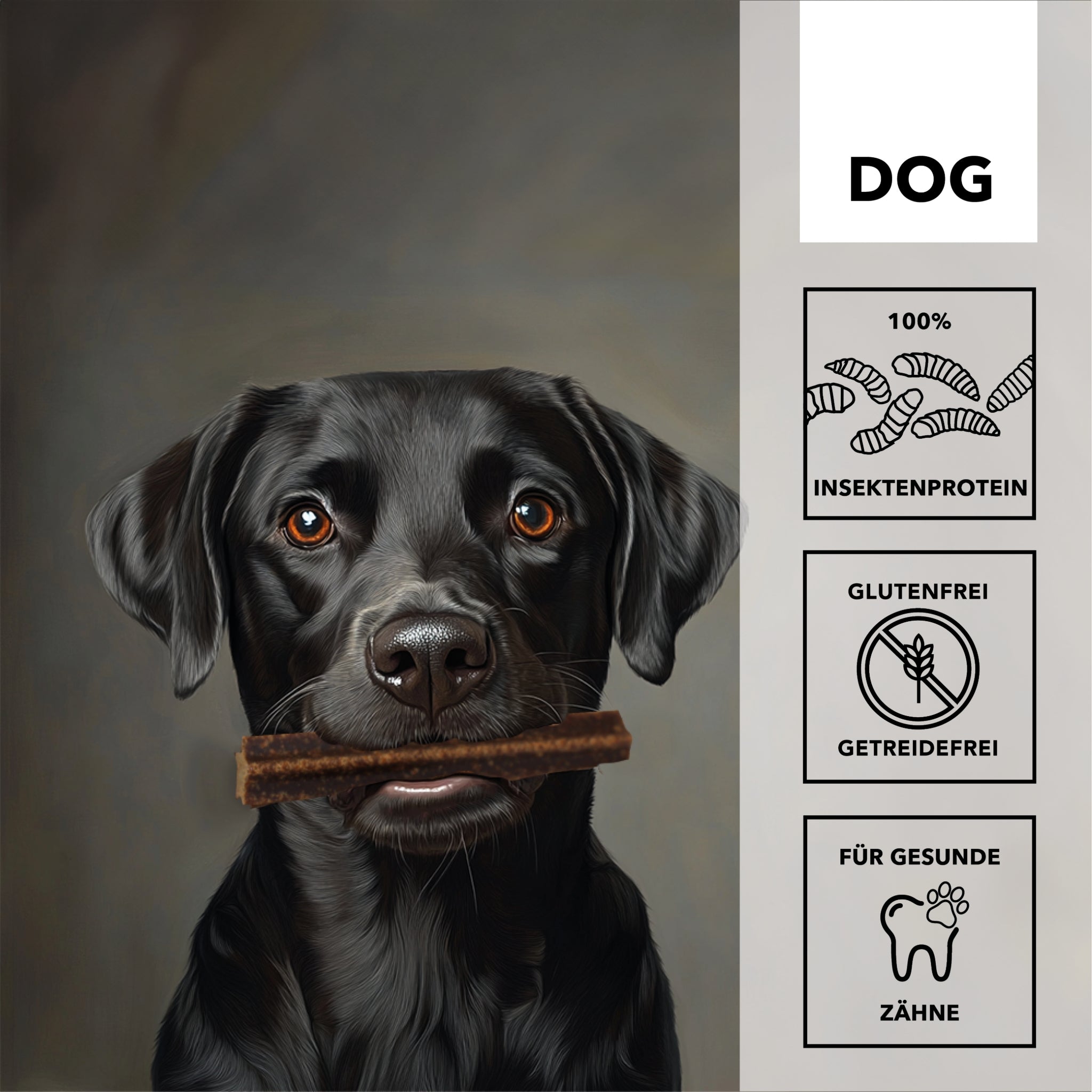 HEROSAN entoVITAL Dog Dental Sticks, Hundesnack - Woofshack