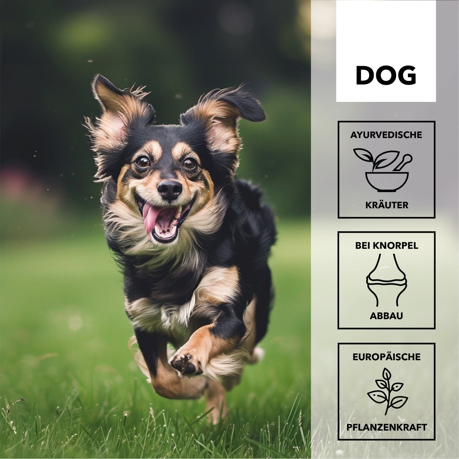 HEROSAN entoVITAL Dog move für Hunde - Woofshack