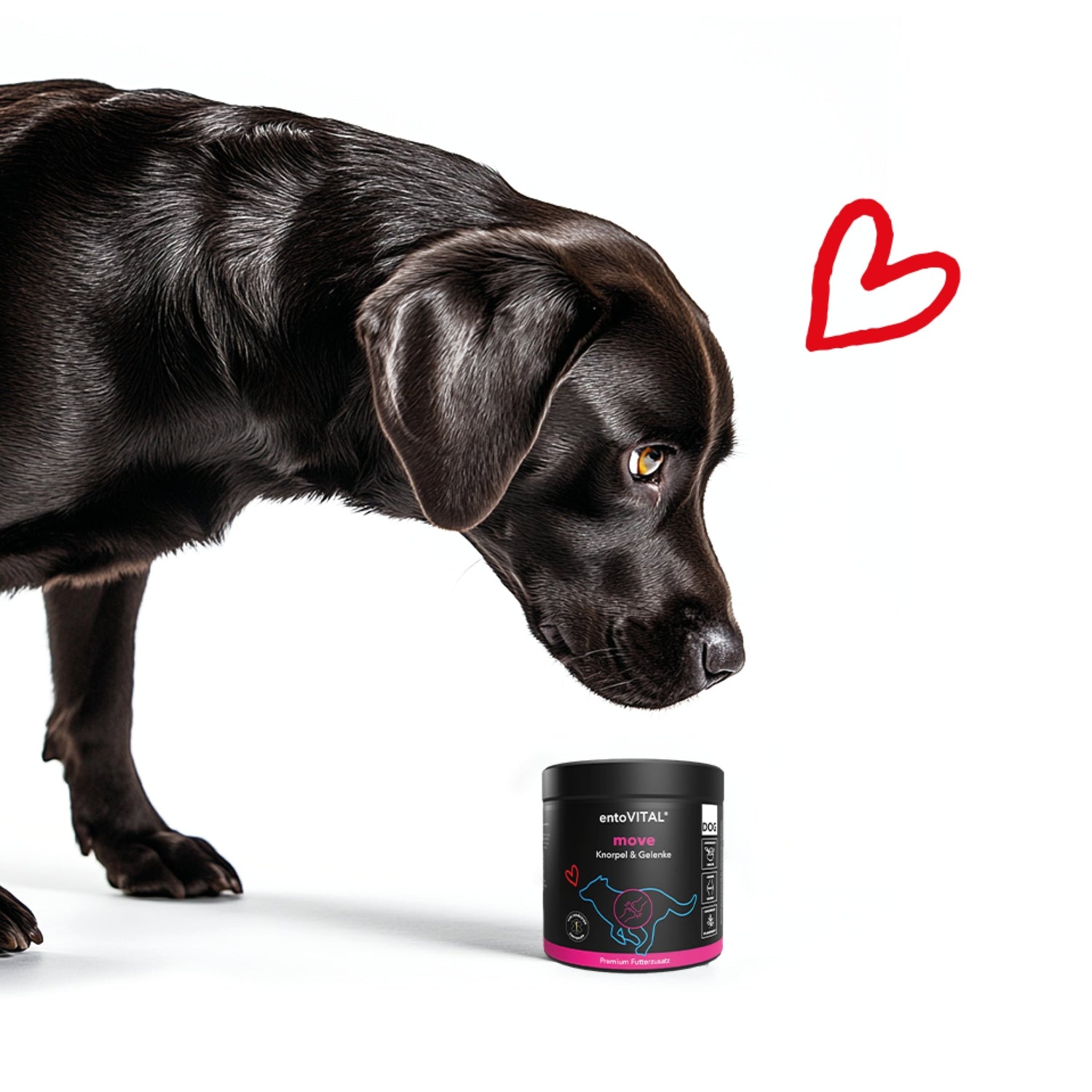 HEROSAN entoVITAL Dog move für Hunde - Woofshack