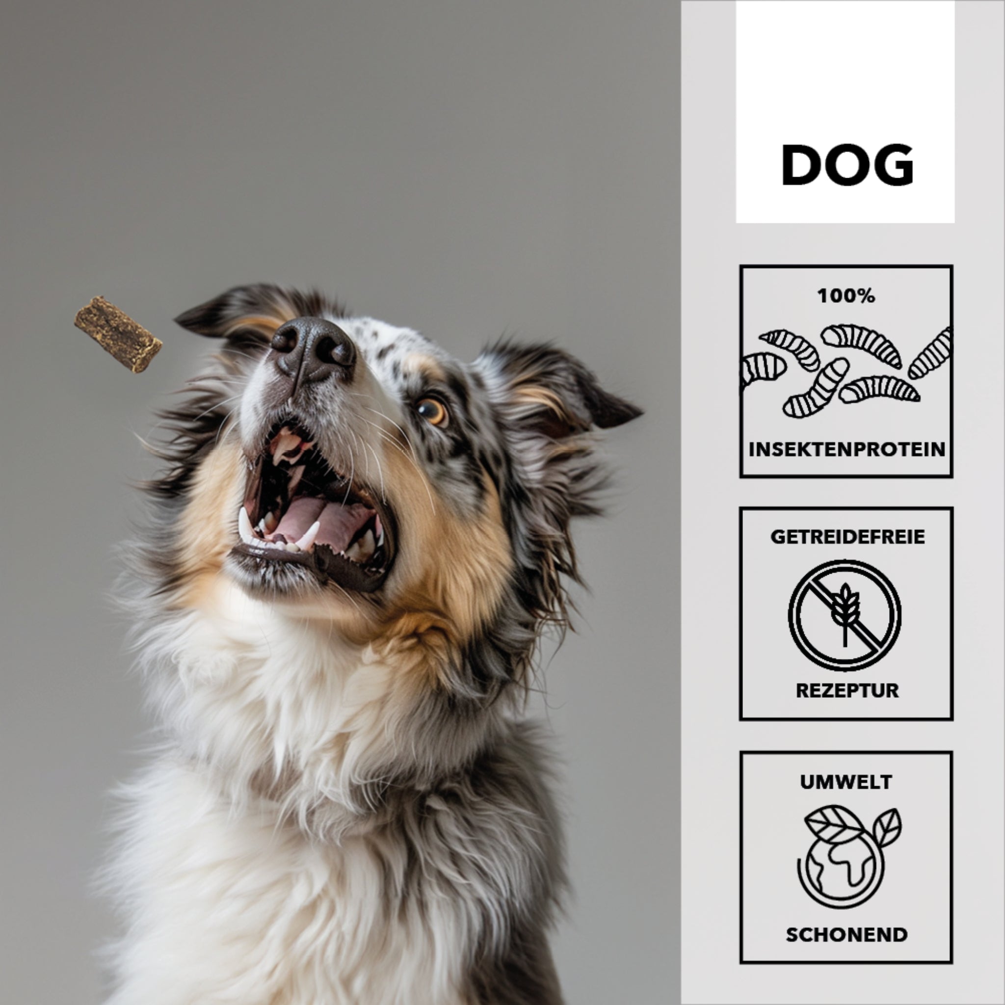 HEROSAN entoVITAL Dog Soft Snacks Hypoallergenic für Hunde - Woofshack
