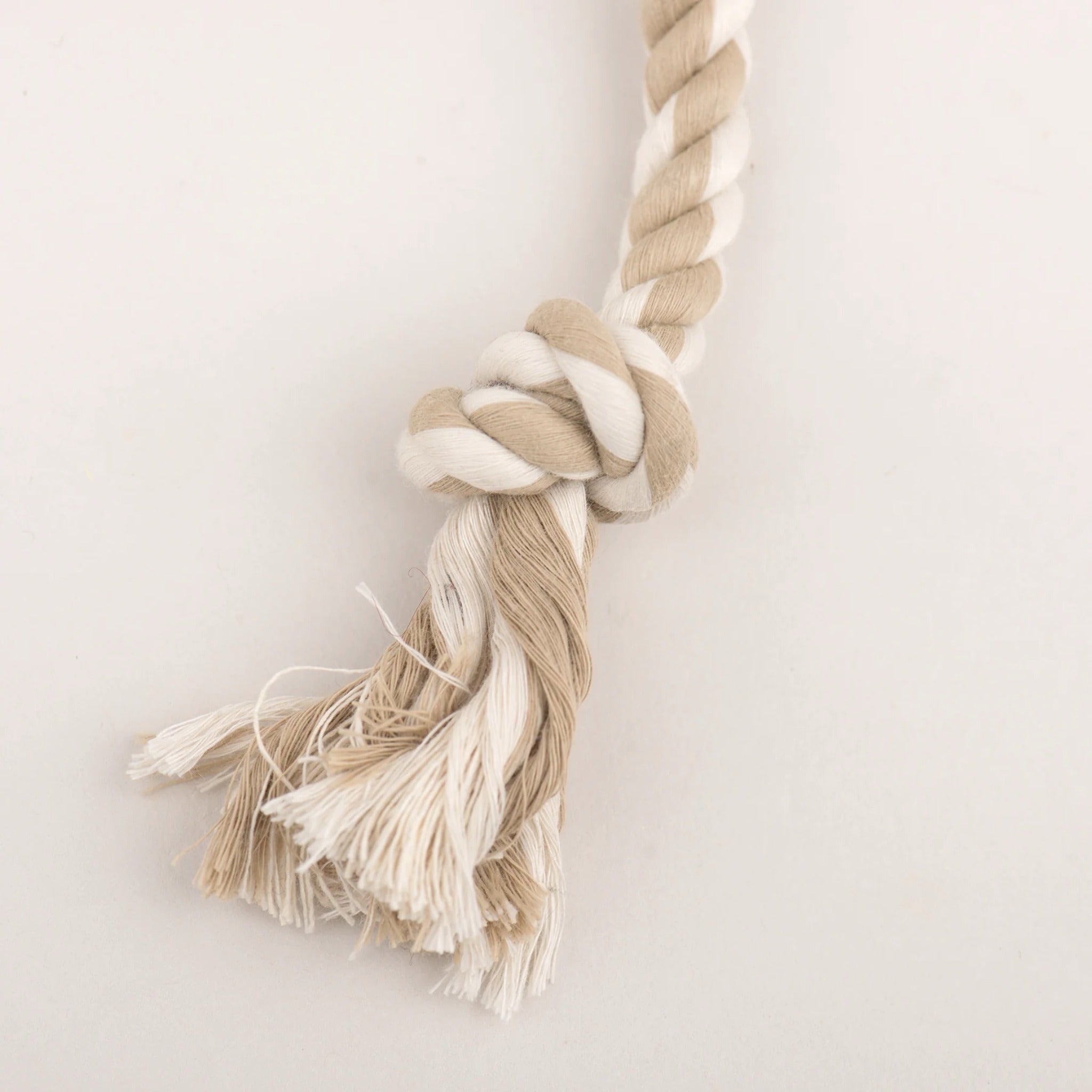 Hugglehounds X - Brace Maple Moose, Hundespielzeug - Woofshack