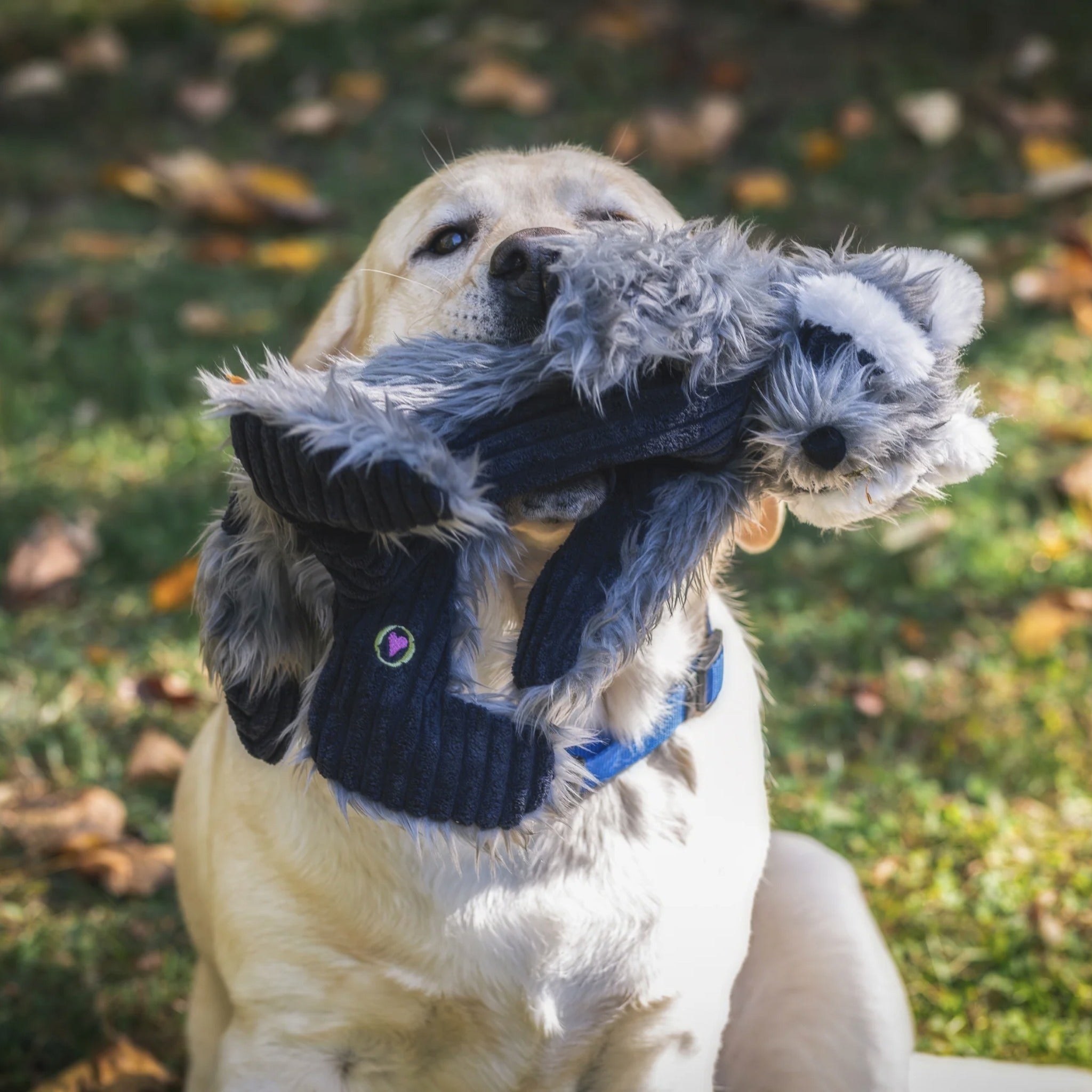 Hugglehounds X - Brace Redwood Raccoon, Hundespielzeug - Woofshack