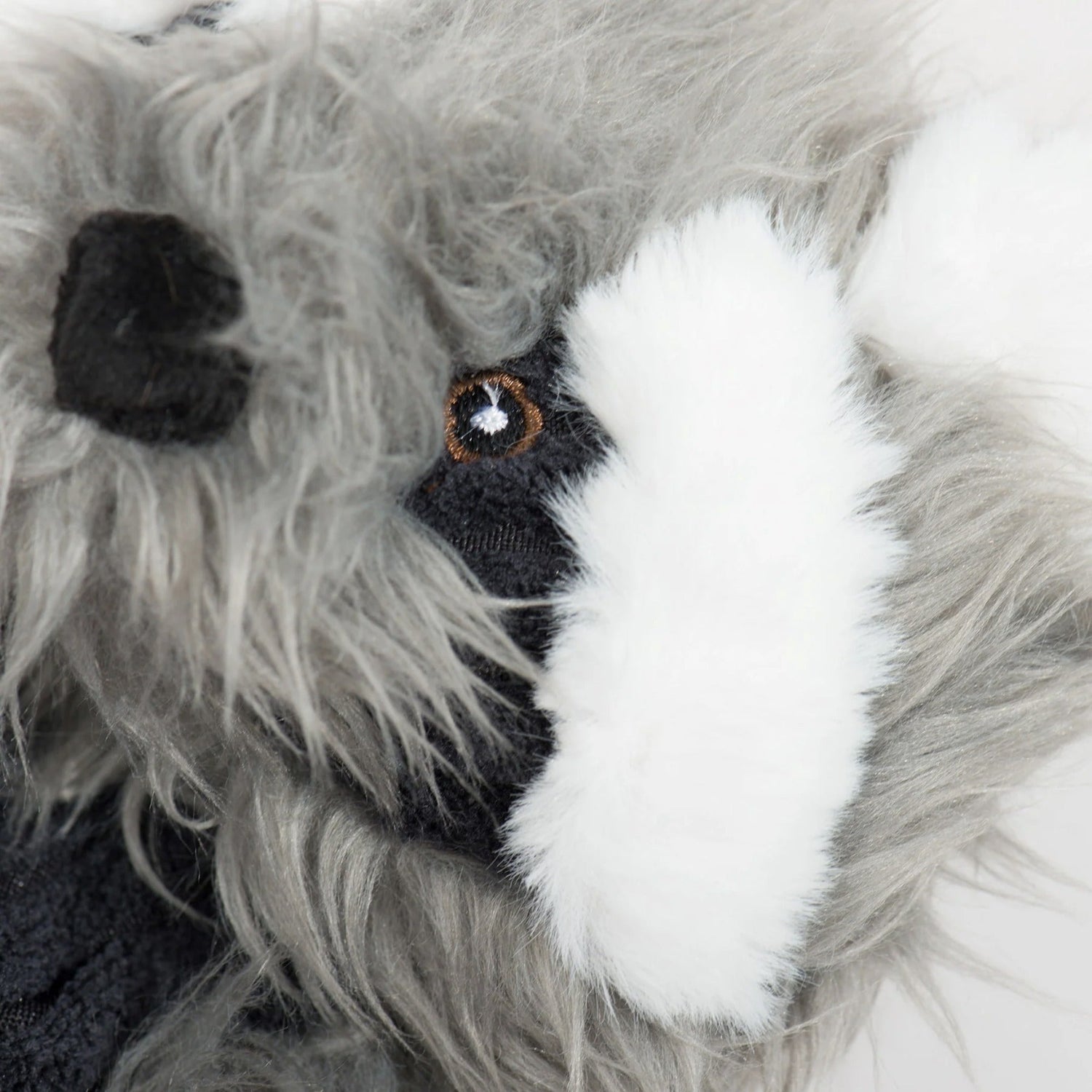 Hugglehounds X - Brace Redwood Raccoon, Hundespielzeug - Woofshack