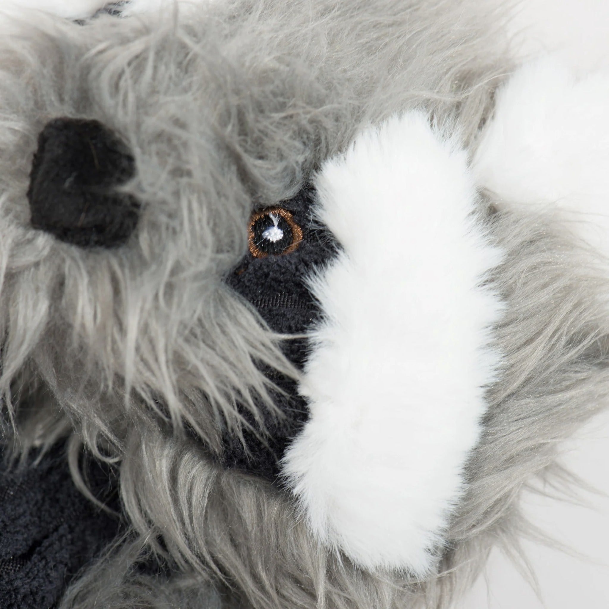 Hugglehounds X - Brace Redwood Raccoon, Hundespielzeug - Woofshack