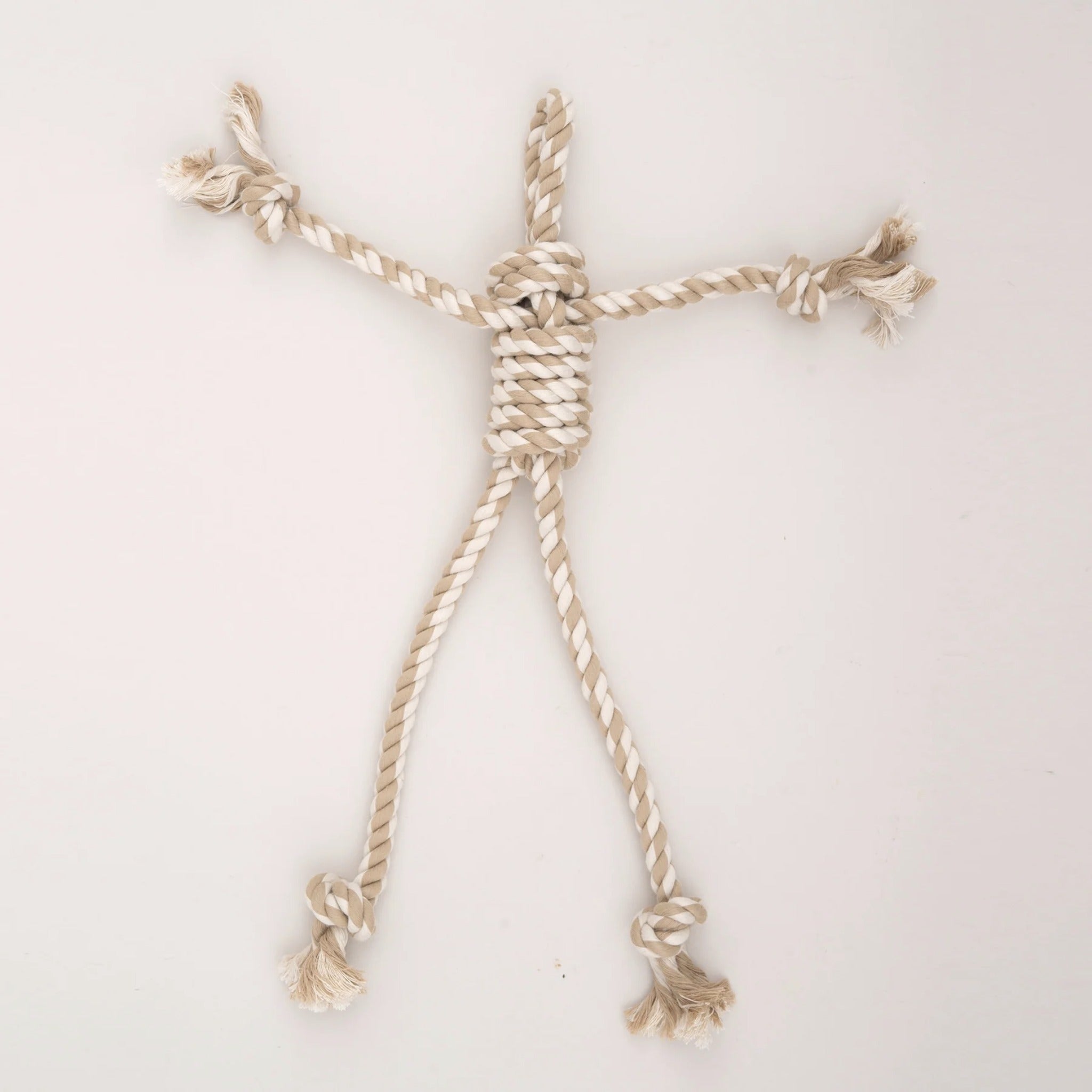 Hugglehounds X - Brace Redwood Raccoon, Hundespielzeug - Woofshack