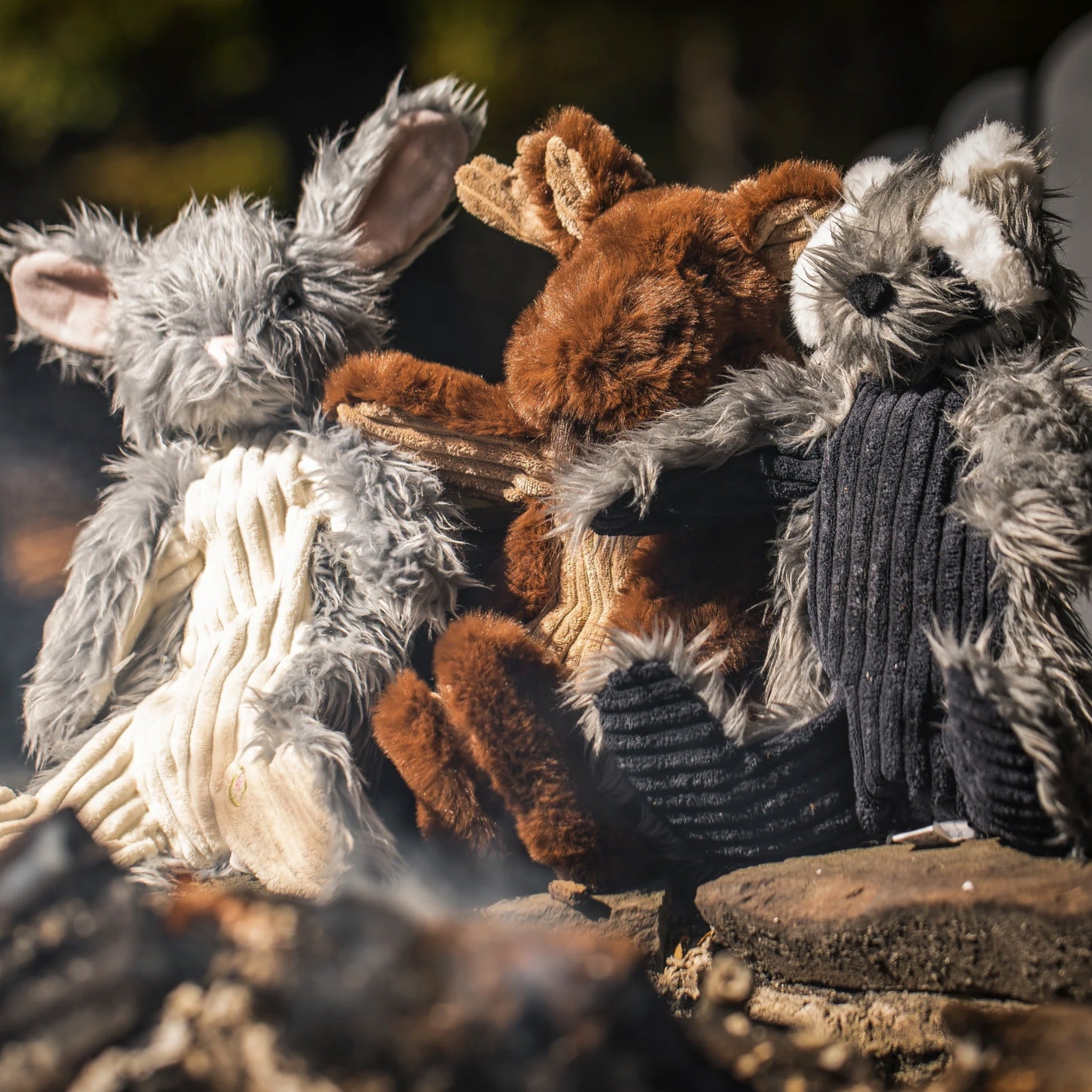 Hugglehounds X - Brace Redwood Raccoon, Hundespielzeug - Woofshack