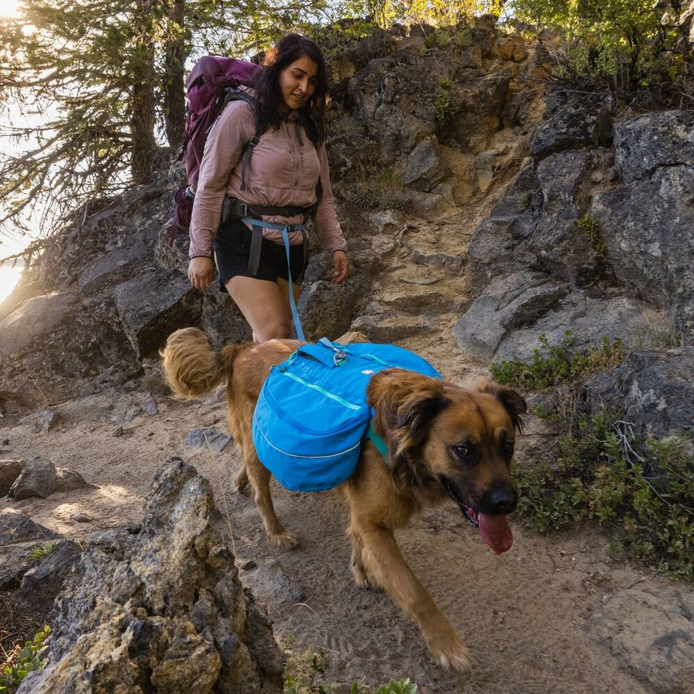 Ruffwear Approach Pack Hunderucksack, Dog Backpack
