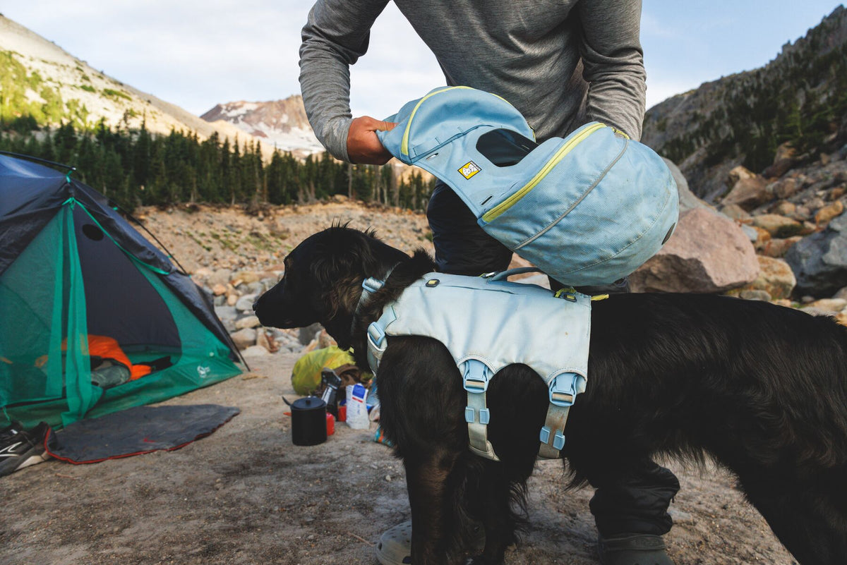 Hunderucksack für Wandern, Trekking und Outdoor mit Hund