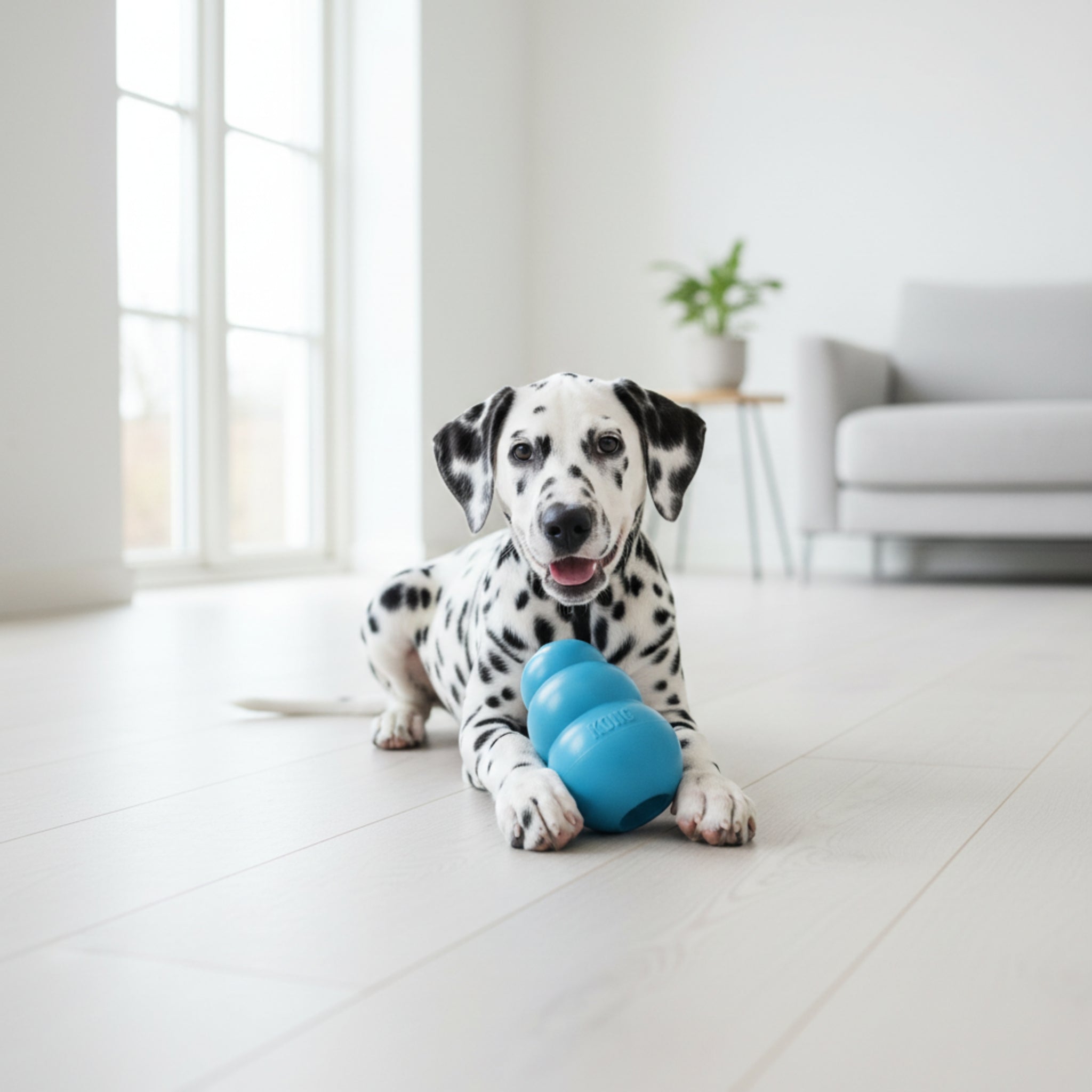 Kong Puppy Kauspielzeug aus Naturkautschuk – Welpensicheres Kau - & Intelligenzspielzeug für gesunde Zähne & entspanntes Zahnwachstum - Woofshack