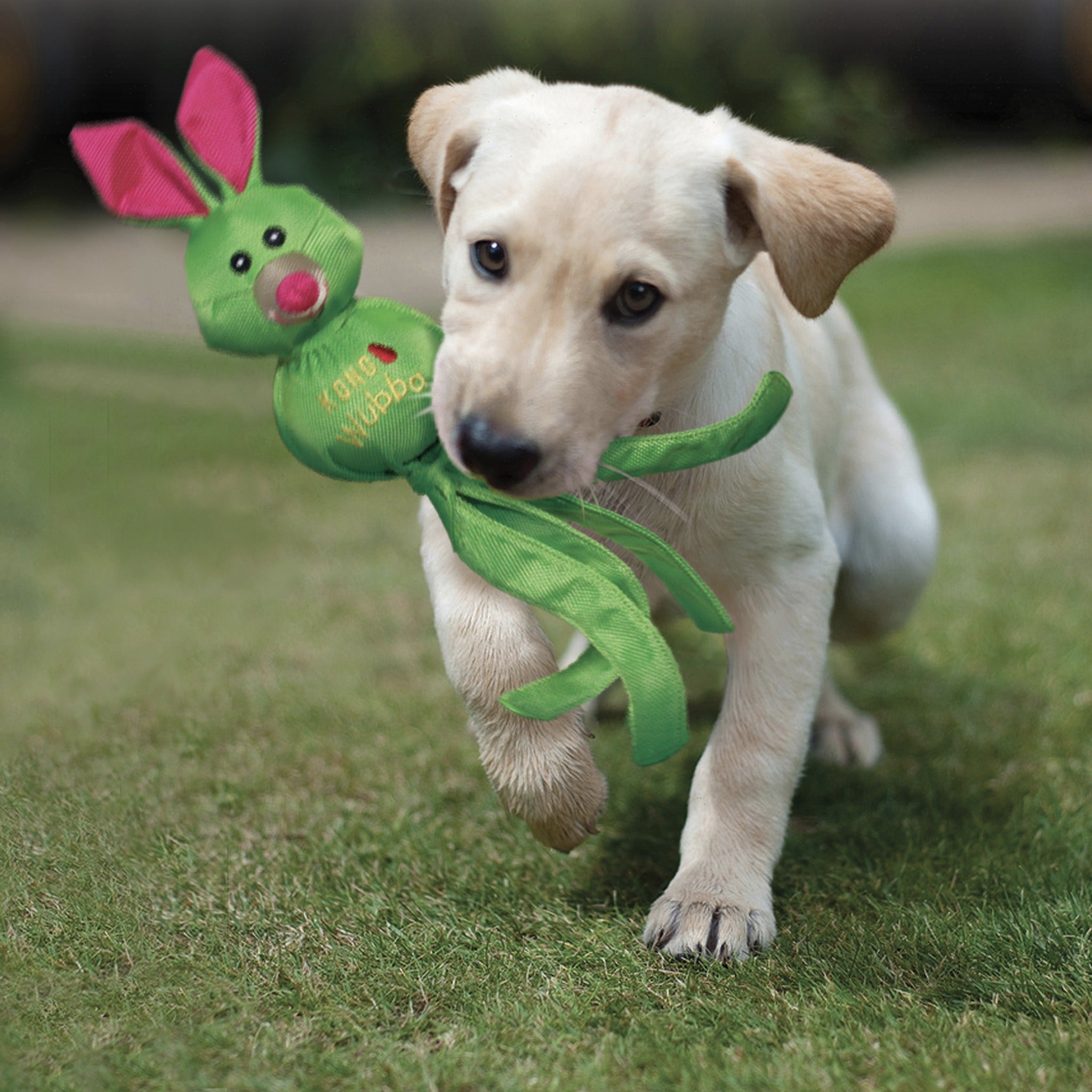 Kong Wubba Friends Ballistic, Hundespielzeug - Woofshack