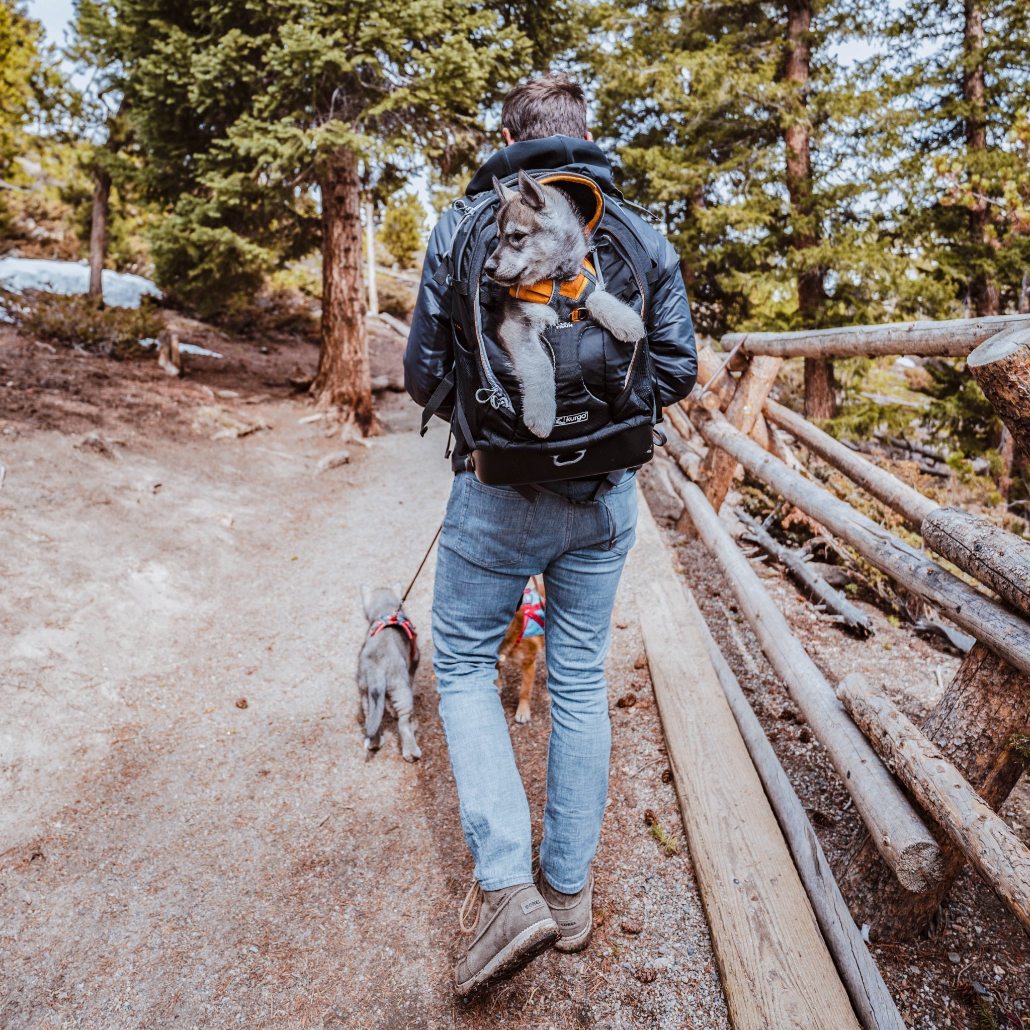 Kurgo G - Train Hunderucksack – Premium Transportrucksack mit Sicherheitsgurt - Befestigung für komfortables Reisen mit kleinen & mittelgroßen Hunden - Woofshack