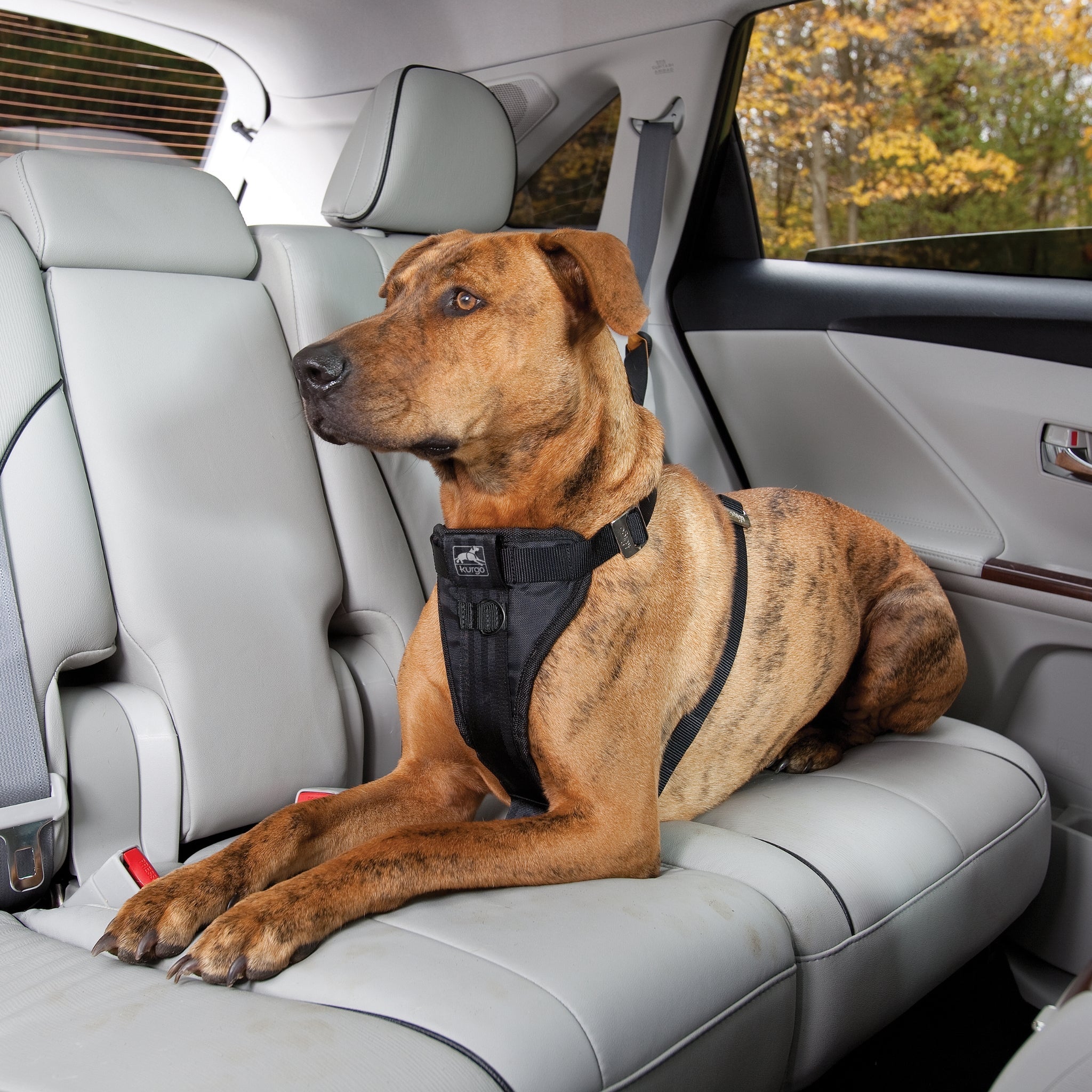 Kurgo Tru - Fit Hundegeschirr – Sicheres Auto - Sicherheitsgeschirr mit Crashtest - Zertifizierung - Woofshack