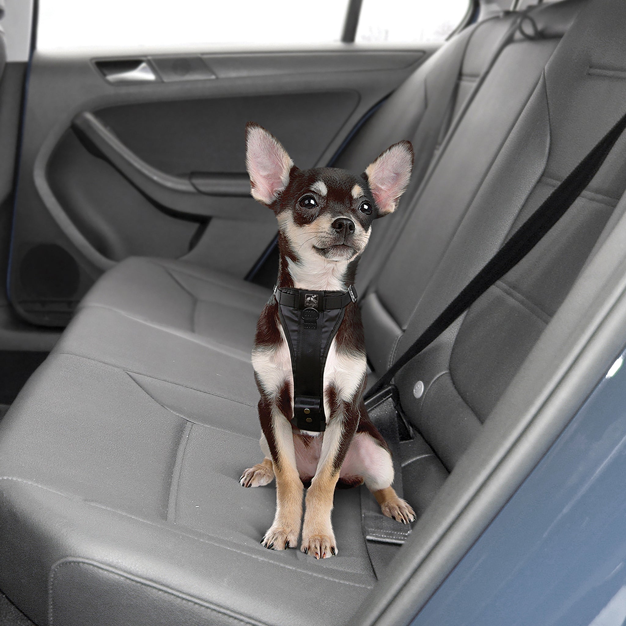 Kurgo Tru - Fit Hundegeschirr – Sicheres Auto - Sicherheitsgeschirr mit Crashtest - Zertifizierung - Woofshack